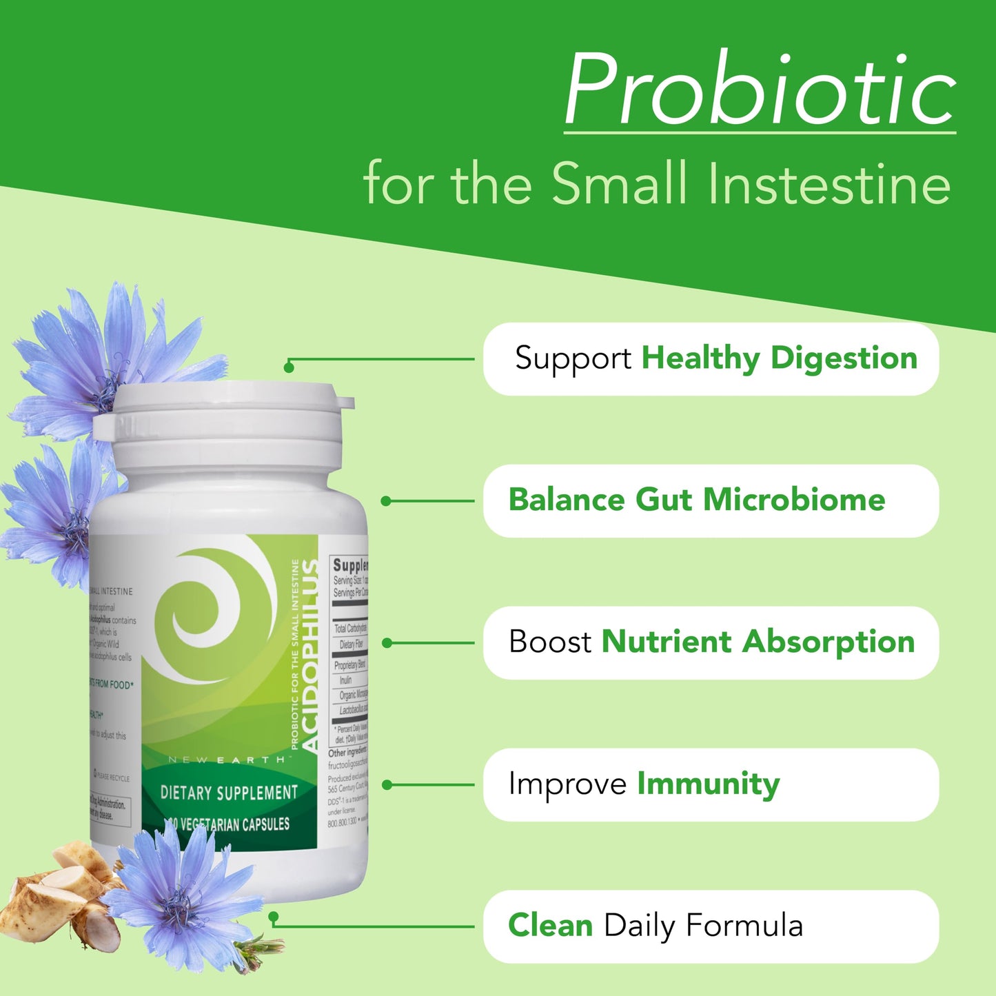 New Earth Acidophilus Lactobacillus DDS-1 Probiotic Capsule, 5 Billion CFU, 30 Count