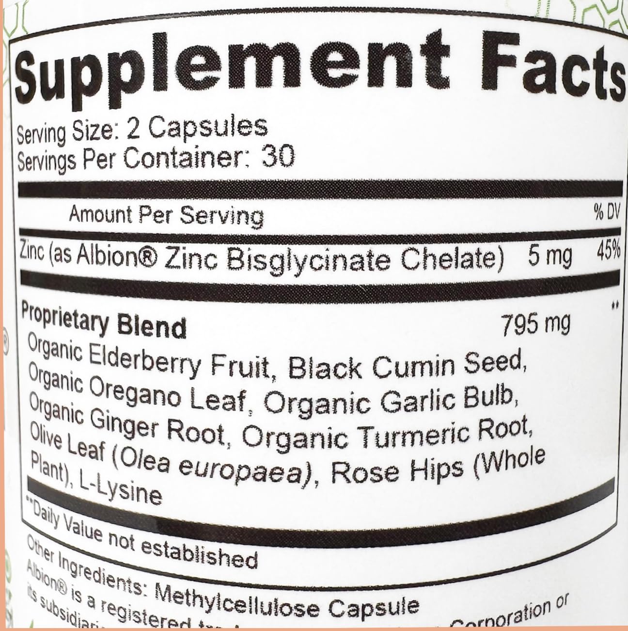 Immunopoint Immune Support Booster Organic Elderberry 60 Capsules
