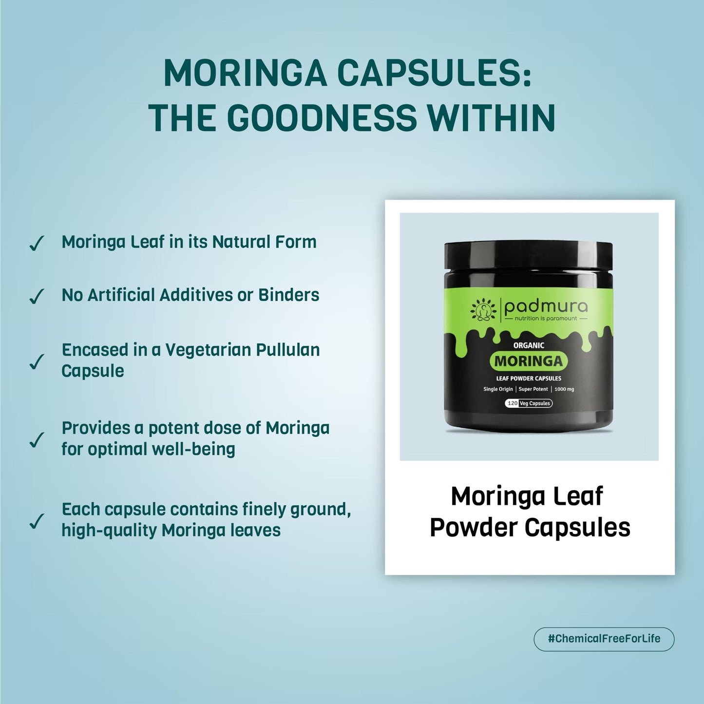 PADMURA Organic Moringa Oleifera Leaf Powder Capsules 1000mg, 120 Capsules