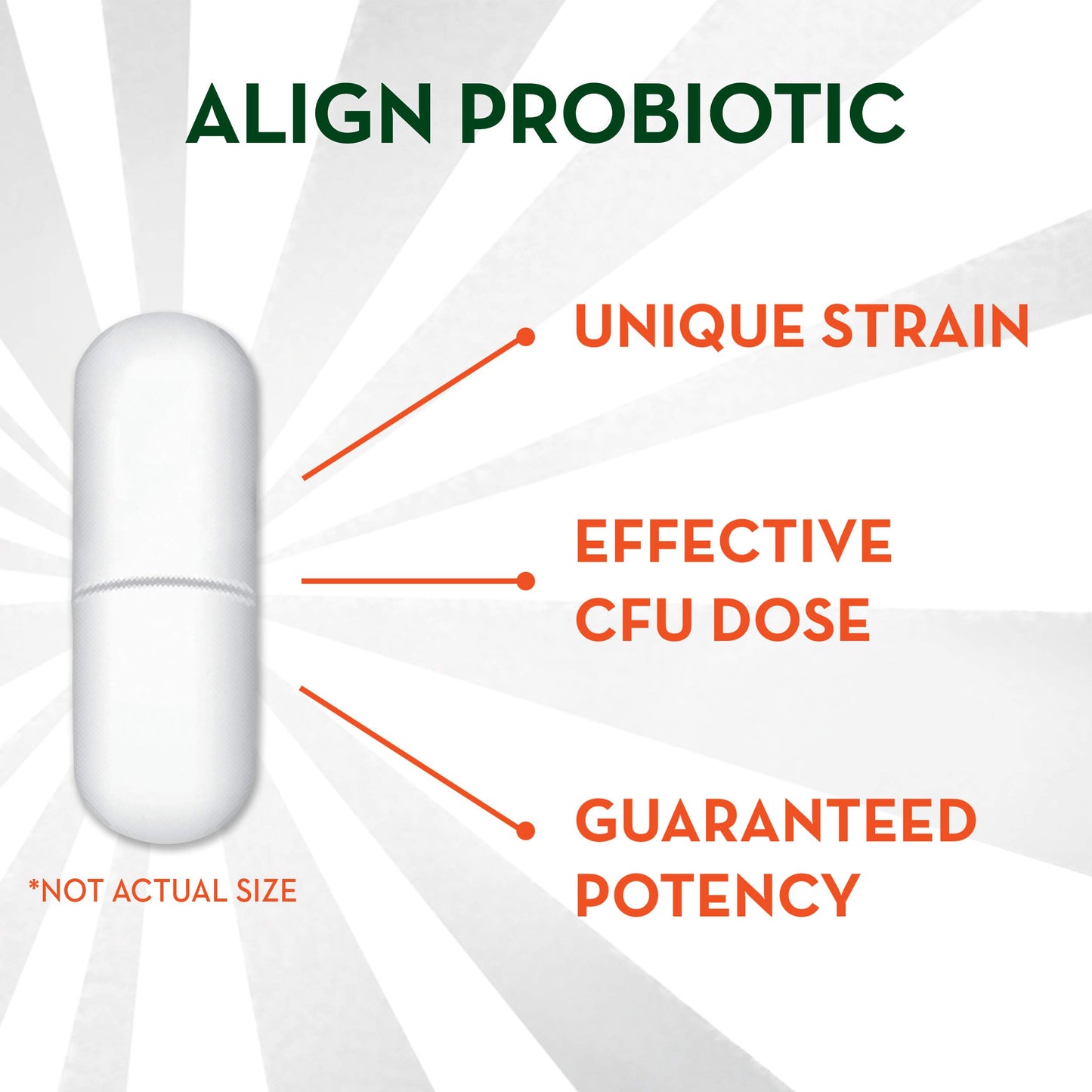 Align Probiotic Supplement Capsules 98