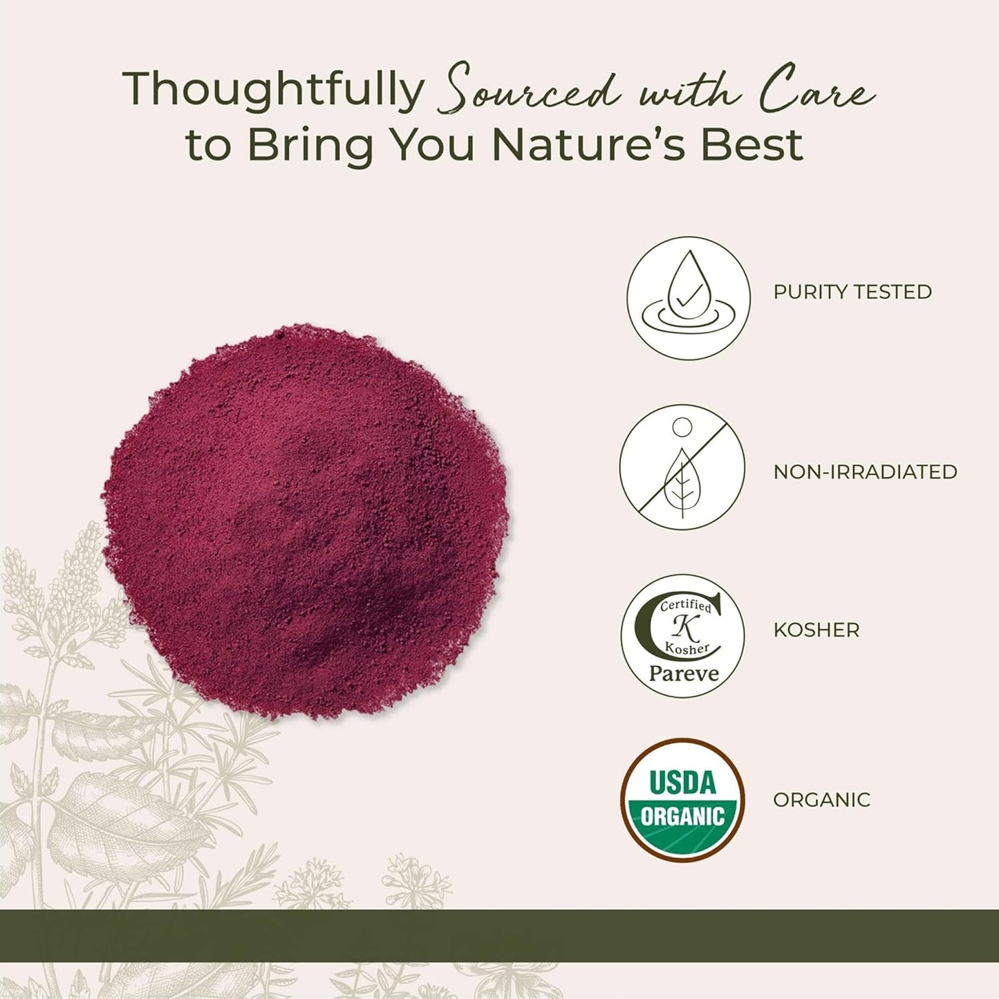 Starwest Botanicals Organic Beet Root Powder 16 oz