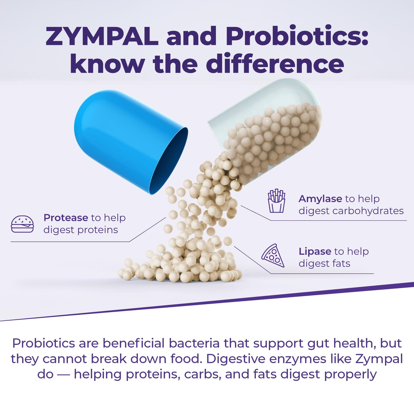 ZYMPAL Digestive Enzymes 20,000 Lipase USP Units - Digestive Health Support Capsules, 50 Capsules