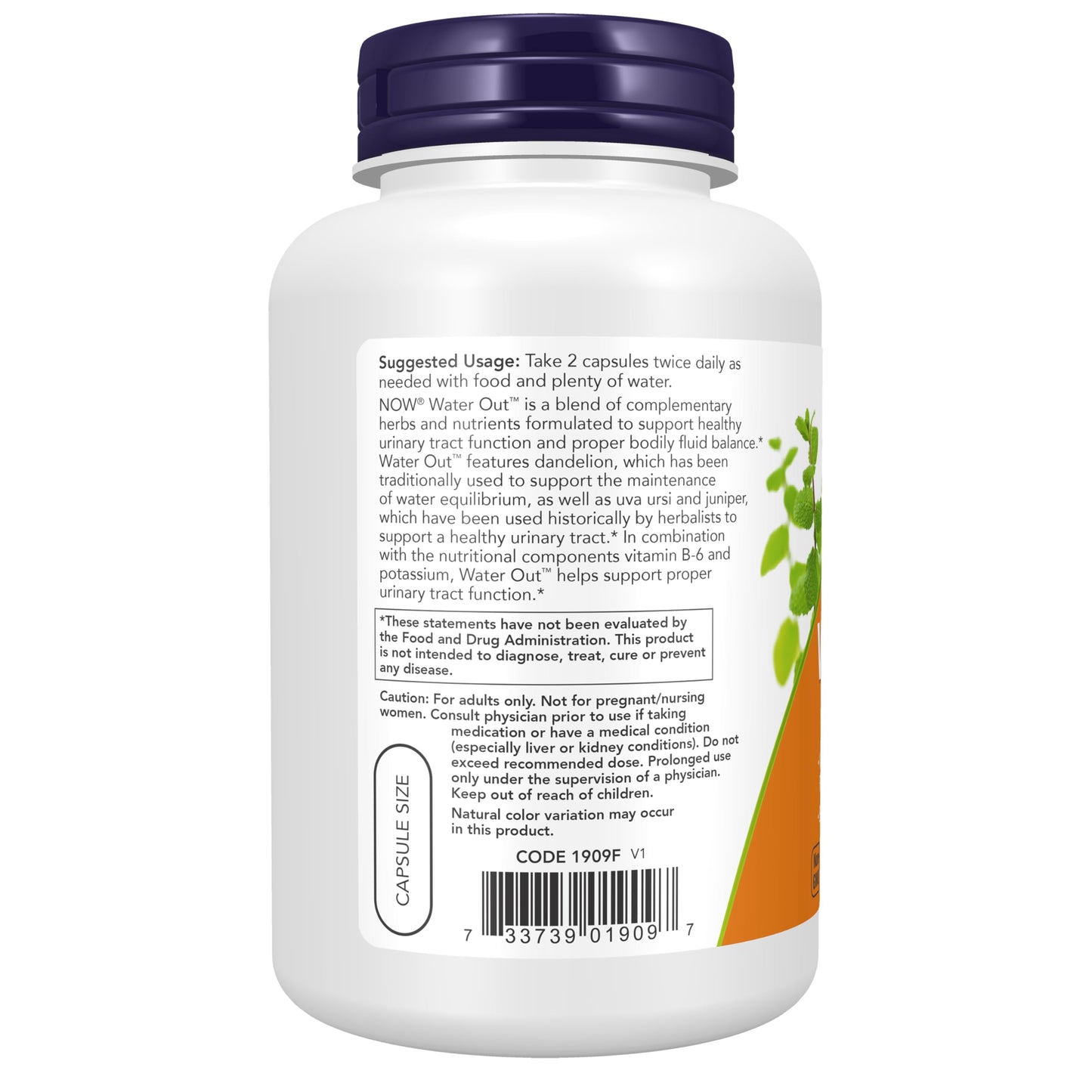 NOW Foods Water Out with Standardized Uva Ursi, Dandelion, Potassium and Vitamin B-6, 200 Veg Capsules