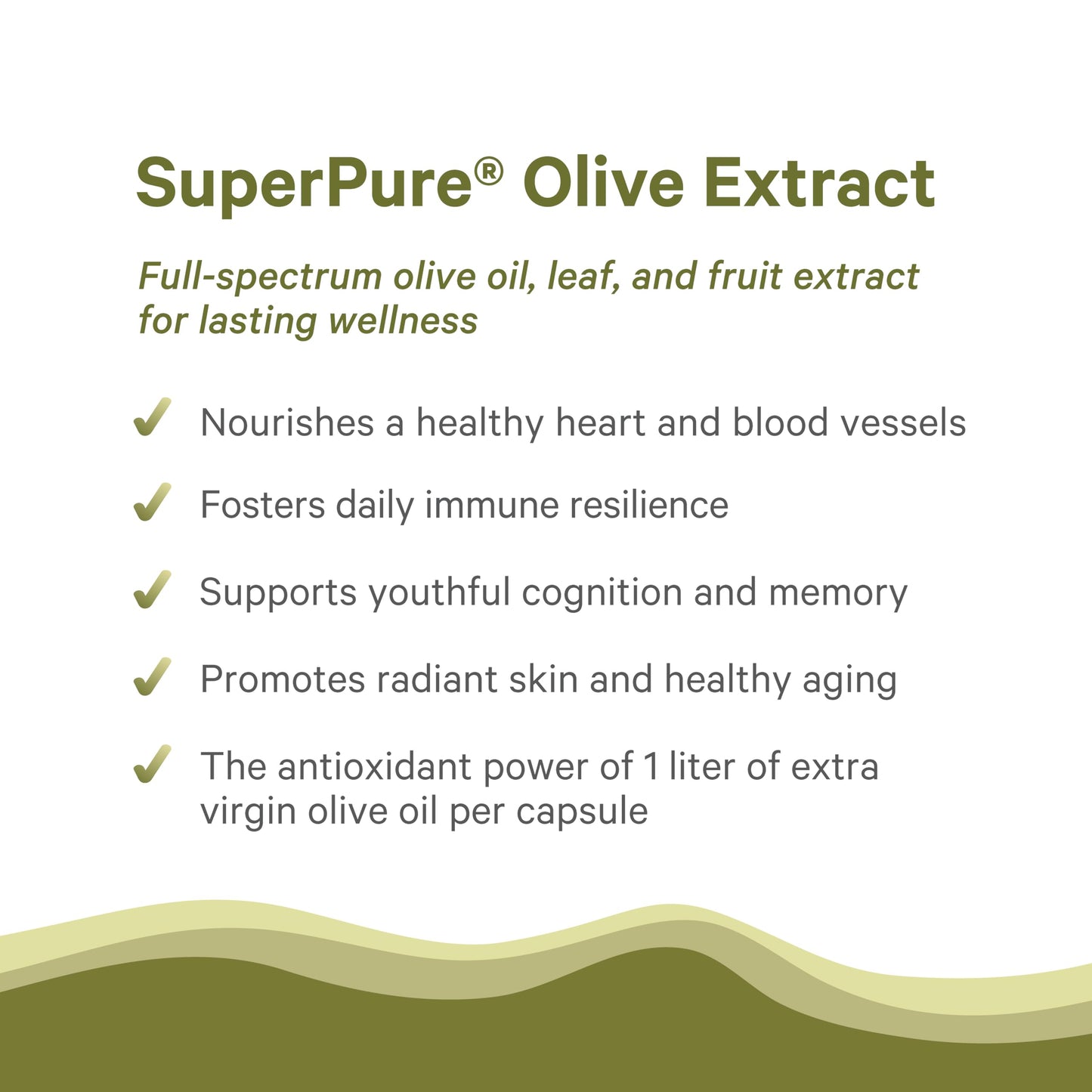 PURE SYNERGY SuperPure Olive Extract, 60 Capsules