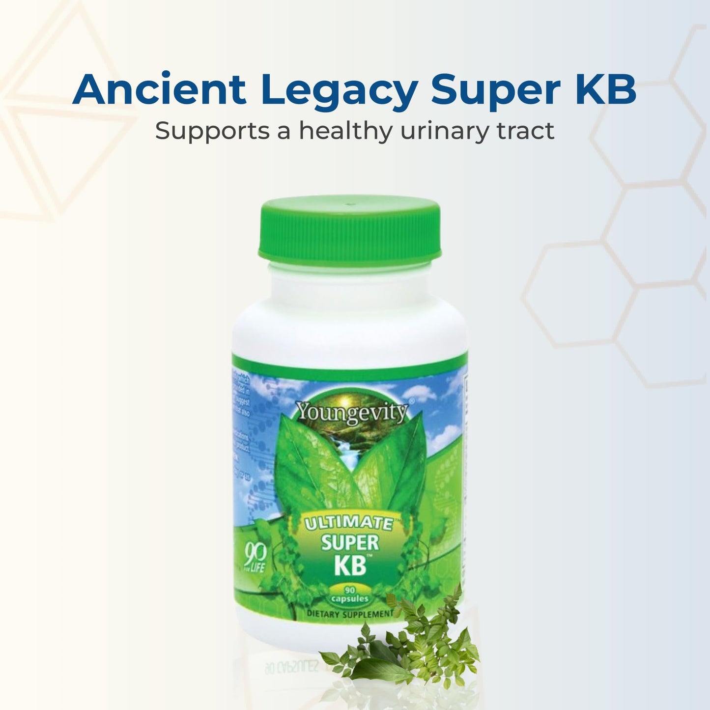 Youngevity Super KB Proprietary Urinary Tract Health Supplement - Cranberry, Bilberry, Devil's Claw, Horsetail & More - Ancient Legacy - 60 Capsules
