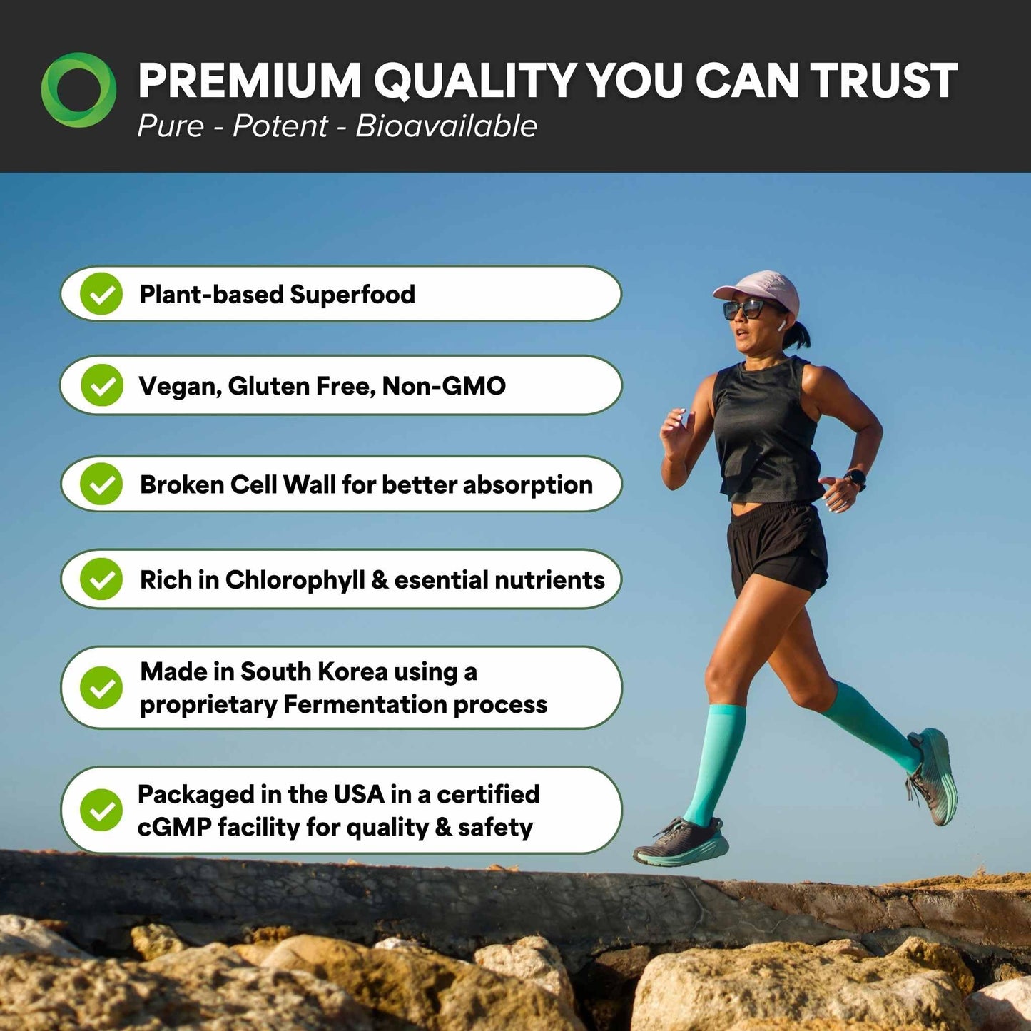 The Chlorella Company Fermented Chlorella Tablets, 675 Tablets