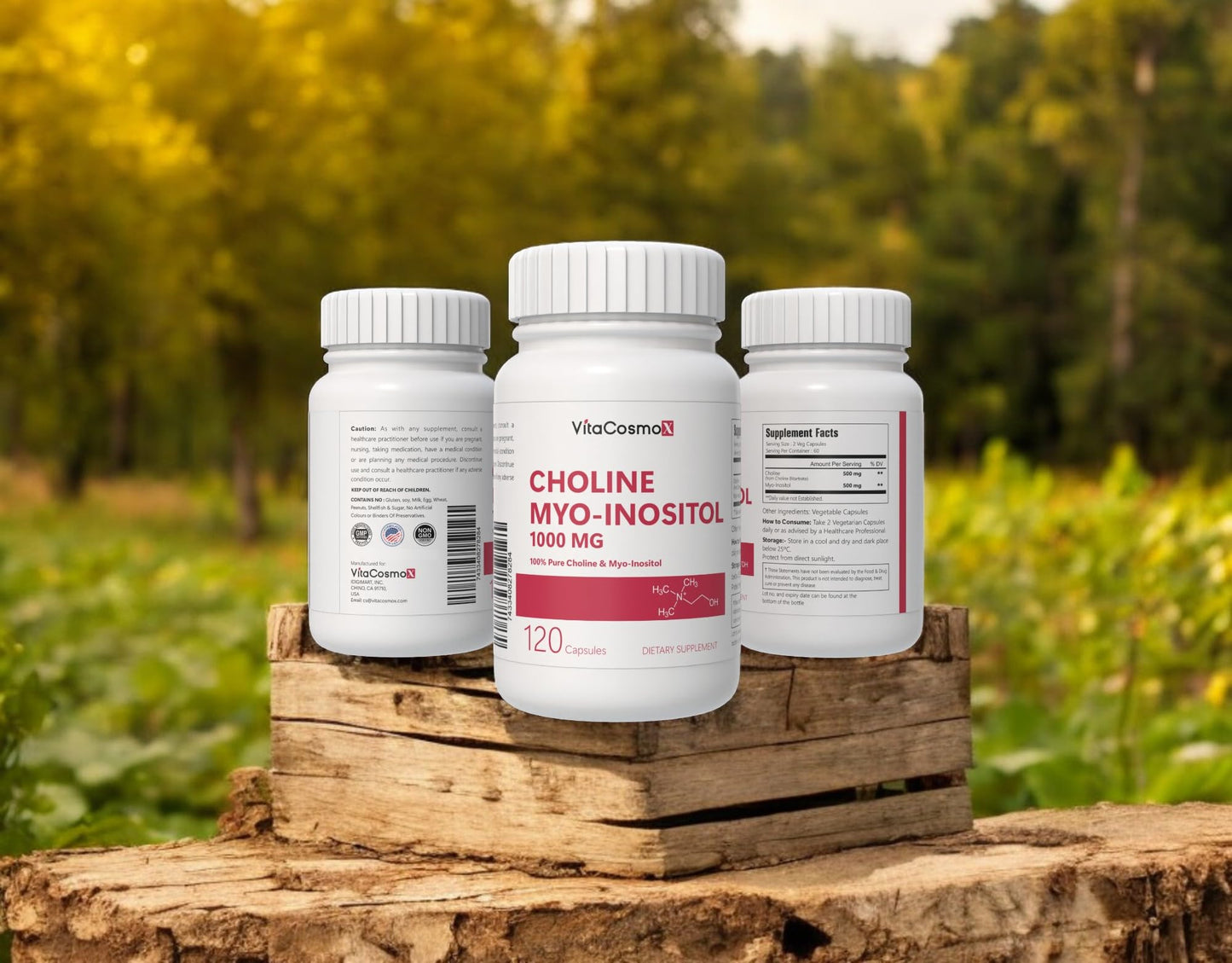 VitaCosmoX Choline and Myo-Inositol Supplement Capsule 120