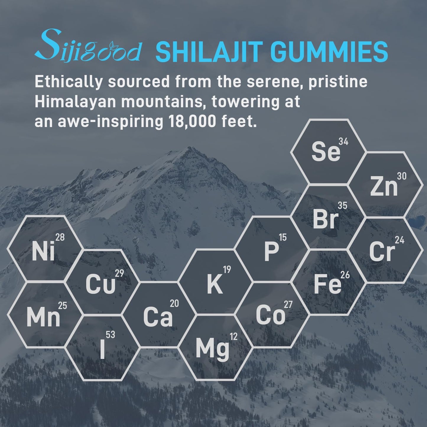 Sijigood Shilajit Gummies with 85+ Trace Minerals, 120 Gummies