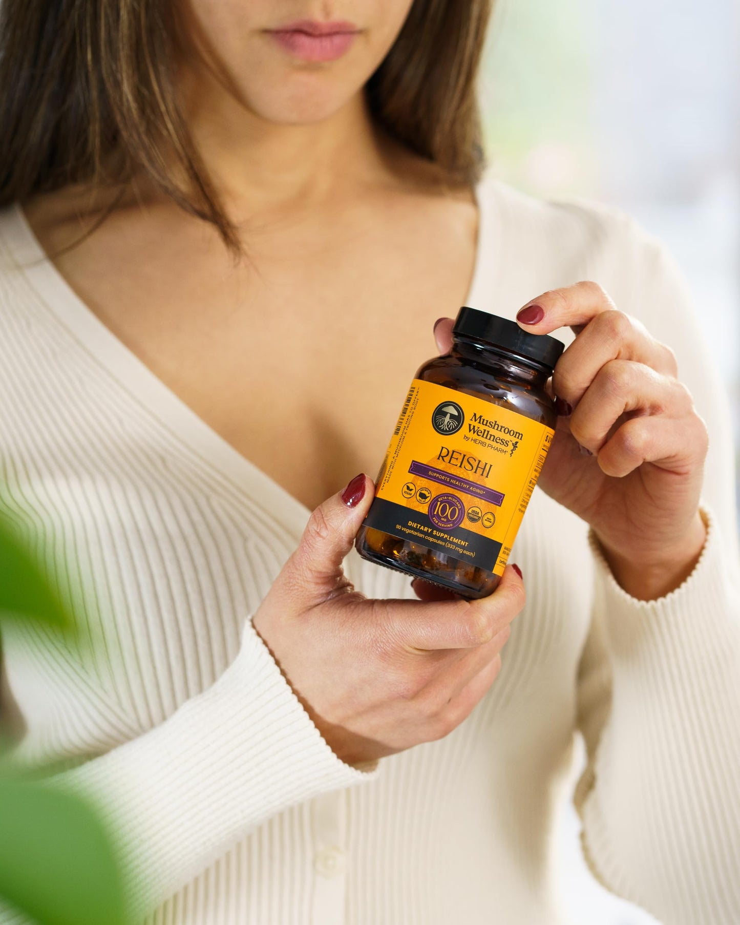 Herb Pharm Mushroom Wellness Reishi Mushroom Capsules, 90 Capsules