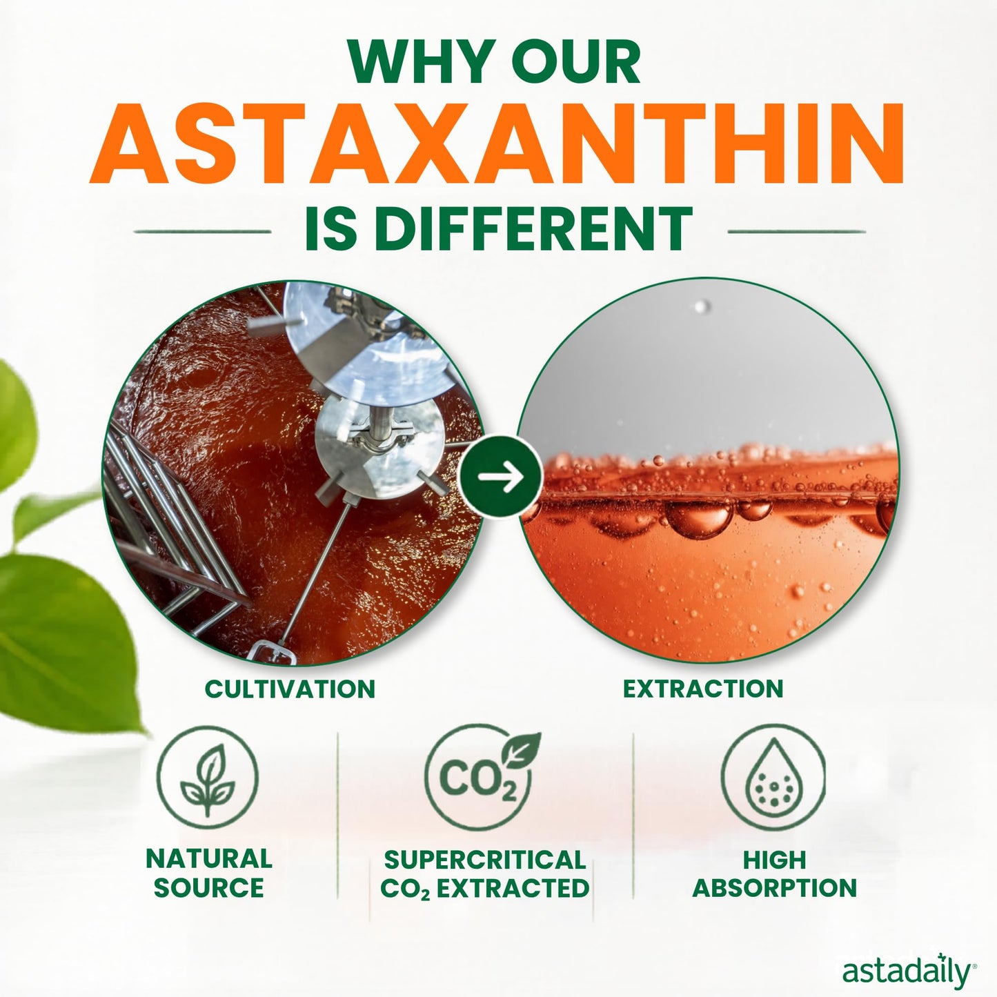 AstaDaily All-in-One Astaxanthin Supplements Softgels 60