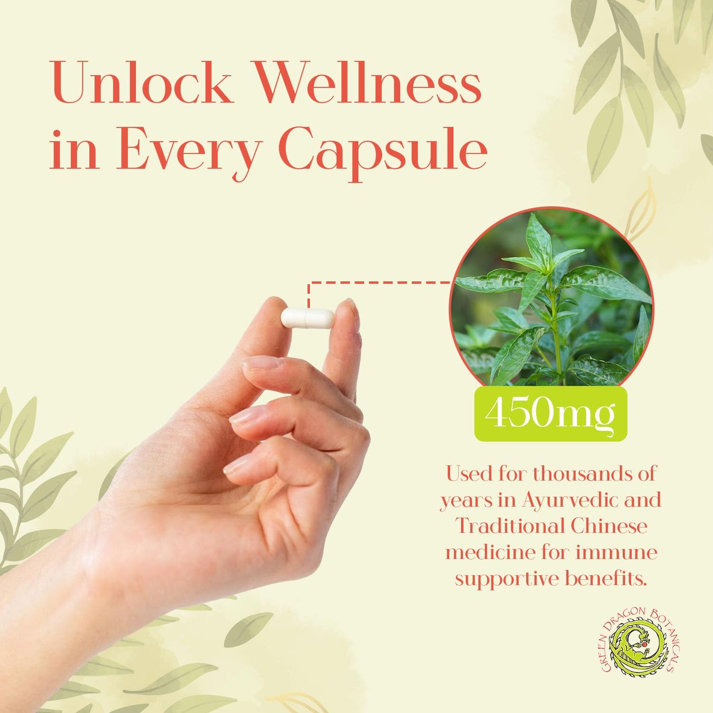 Green Dragon Botanicals Andrographis Capsules 100 Count