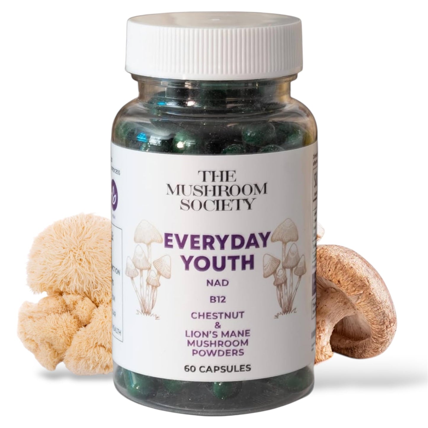 The Mushroom Society Everyday Youth Anti-Aging Brain & Cellular Energy Formula with Lion’s Mane, Chestnut, NAD, B12 + Beta-Glucans, 60 Vegan Capsules