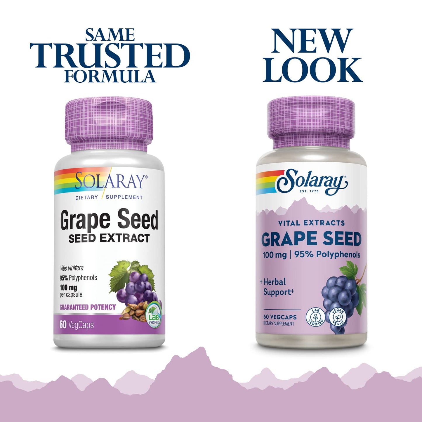 Solaray Grape Seed Extract 100 mg Plus Bioflavonoid Complex, 60 Capsules