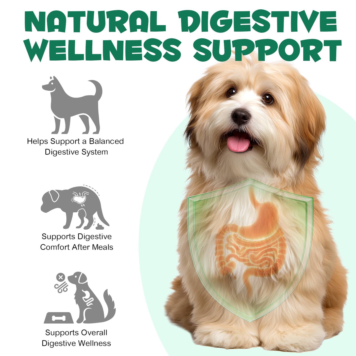 ALIVO Activated Charcoal Powder for Dogs & Cats 120