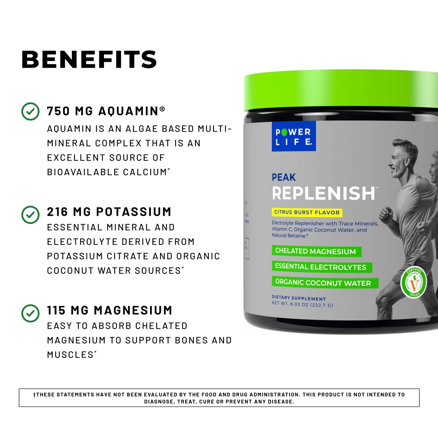 POWERLIFE Peak Replenish Magnesium Electrolyte Powder, 8.56 Ounce