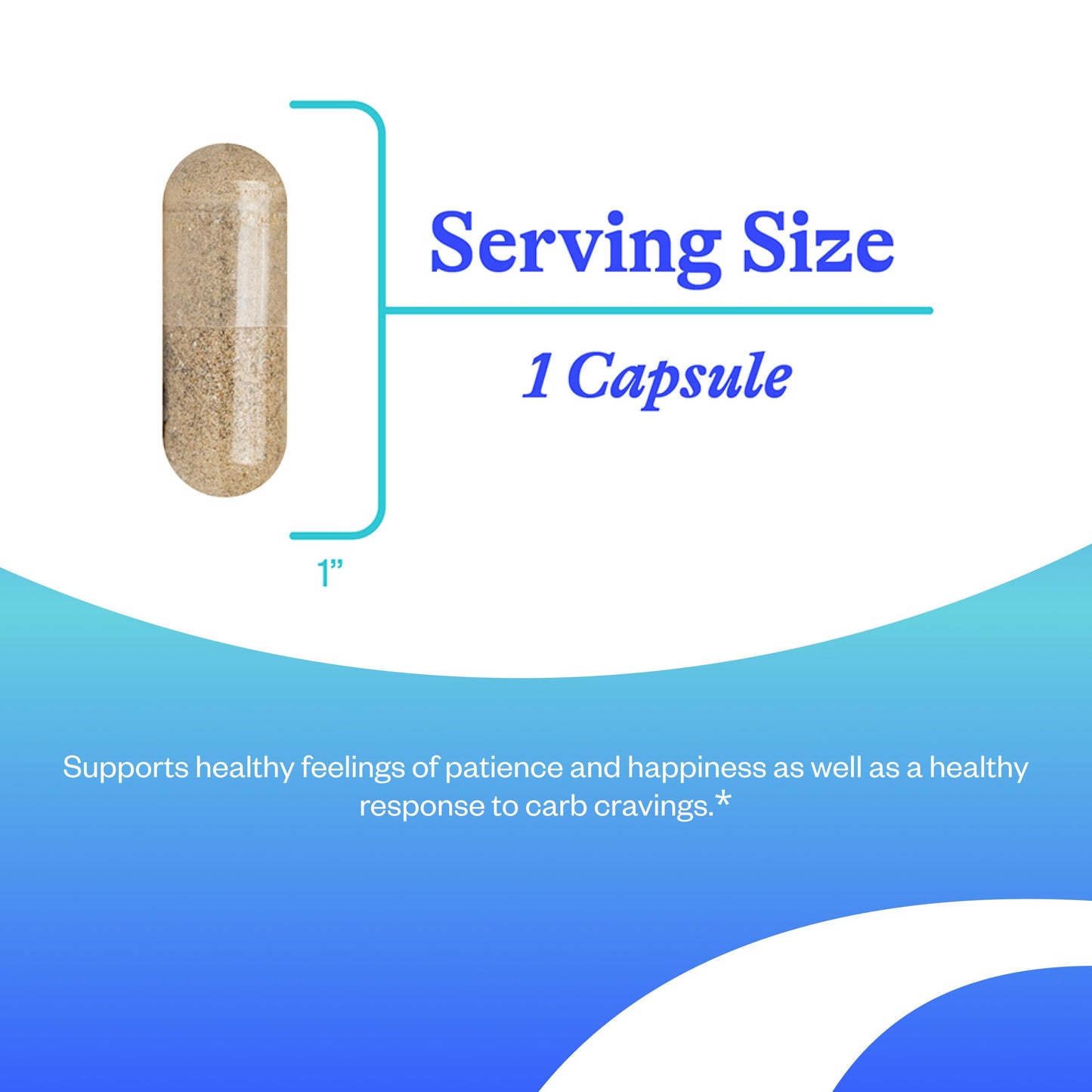 Seeking Health Serotonin Nutrients 5-HTP Supplement with Vitamin B6 and Saffron Extract Capsules 60 Count