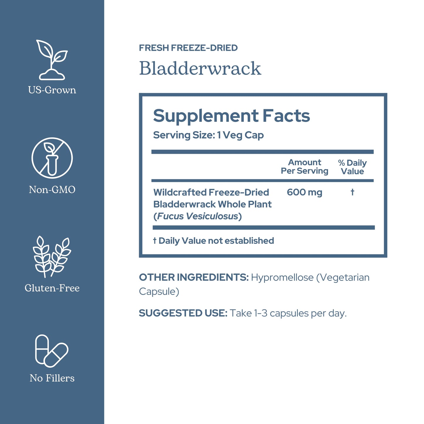 Eclectic Institute Bladderwrack Capsules, 90 Count