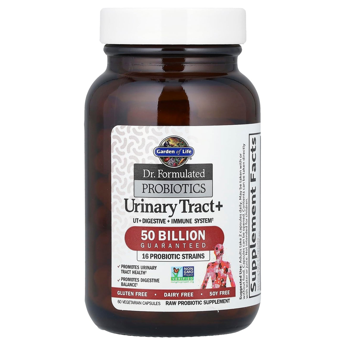 Garden of Life Dr. Formulated Probiotics Urinary Tract+ - 50 Billion CFU - Supports Digestive, Immune & Urinary Tract Health, 60 Vegetarian Capsules