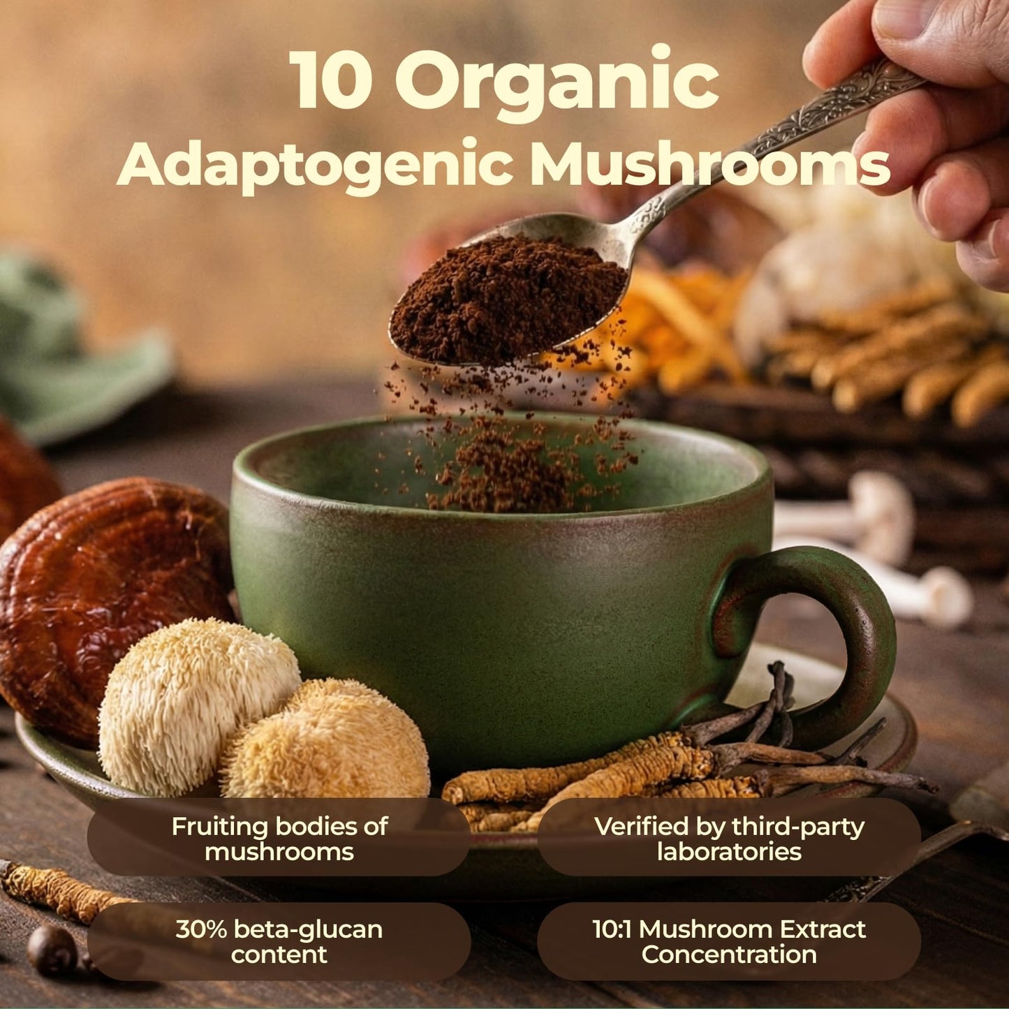 FORTISCA Mushroom Coffee with Probiotic & Ashwagandha, Powder, 7.41 oz