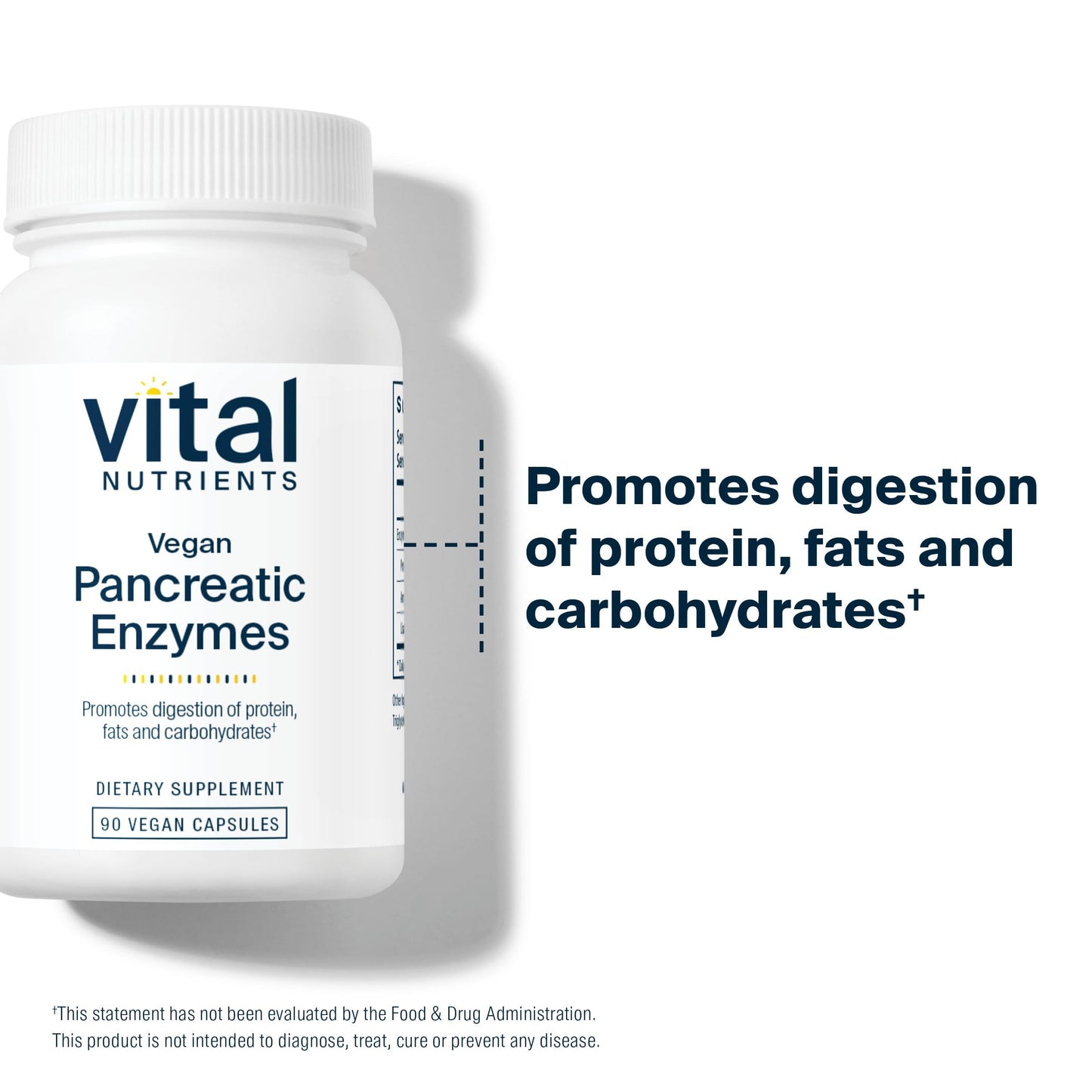 Vital Nutrients Vegan Pancreatic Enzymes for Women & Men - Enzymes for Digestion Support Gut Health - Relief from Gas & Bloating - Gluten, Dairy, Soy Free, 90 Capsules