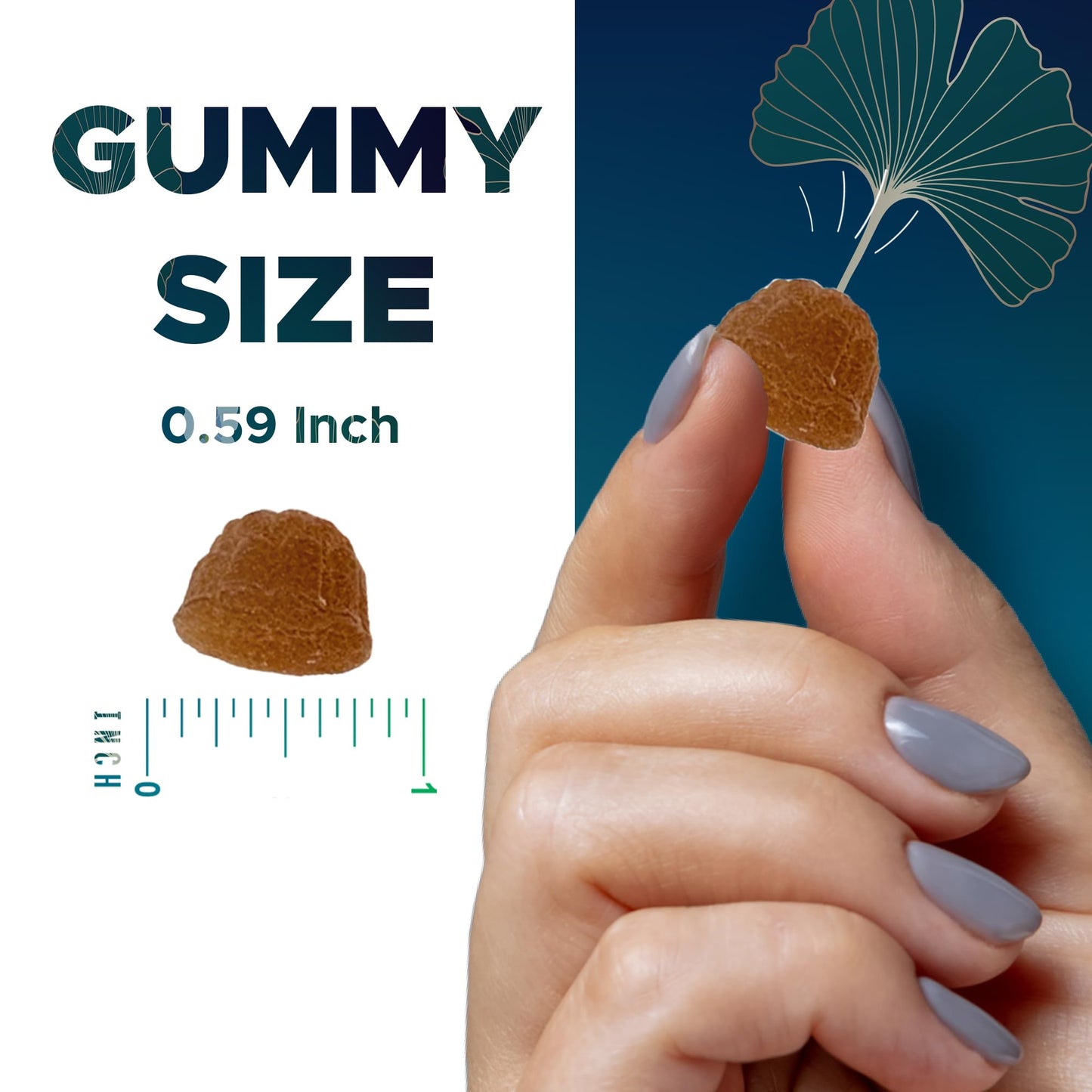 Vitamatic Ginkgo Biloba & Bacopa Gummies 120 Count