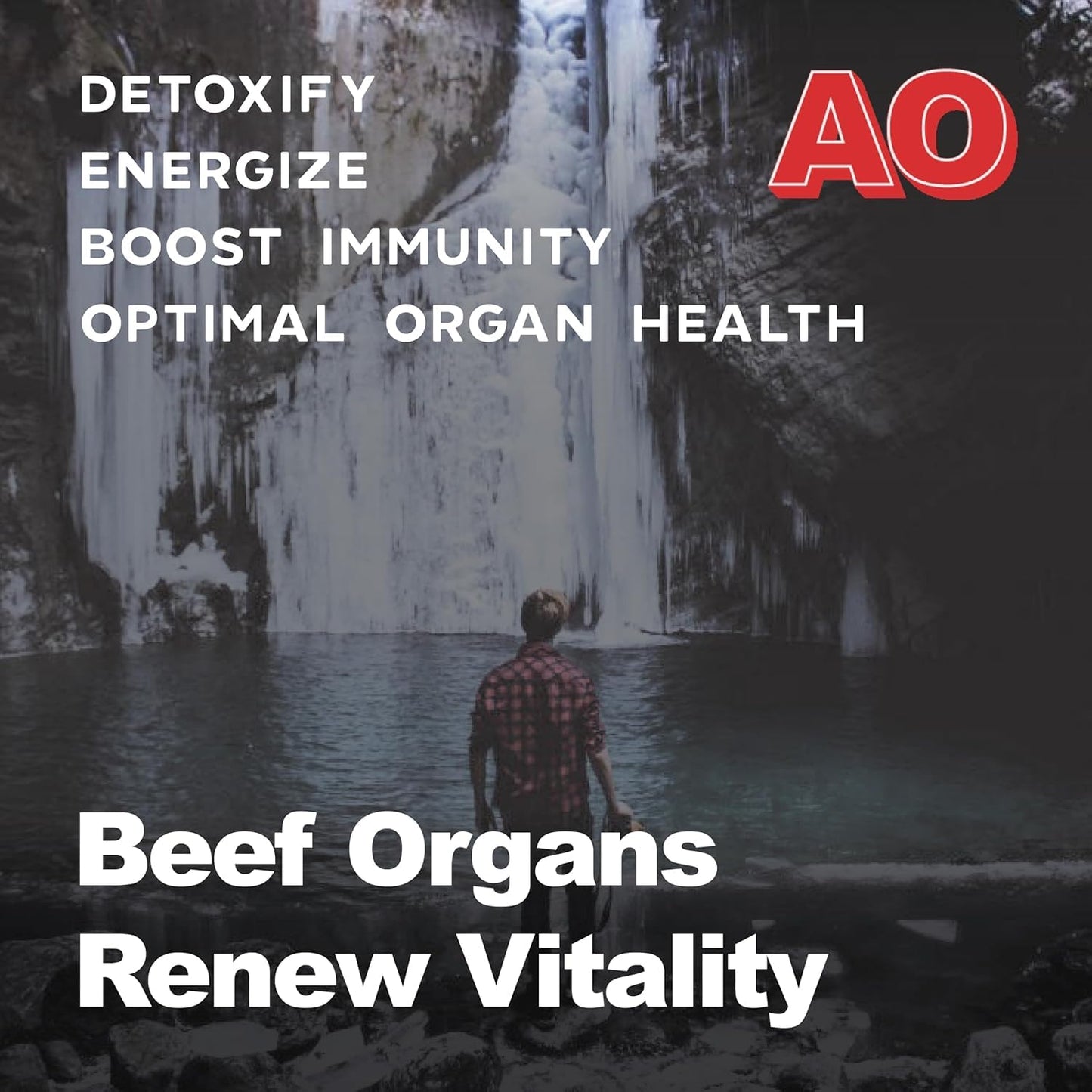 Ancient Origins Grass Fed Beef Organs Supplement 4500 mg Desiccated Liver, Bone Marrow, Heart, Spleen, Pancreas & Kidney Capsules, 180