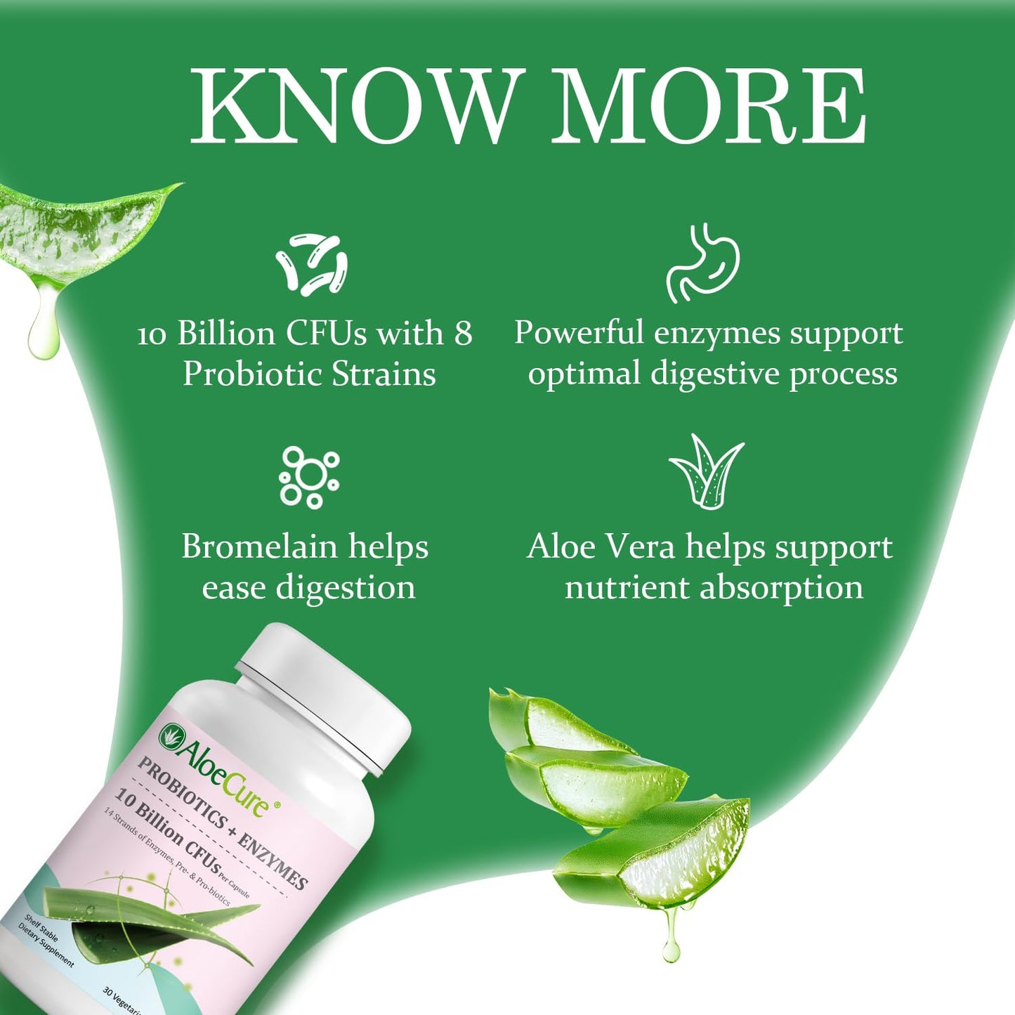 AloeCure Daily Probiotics 10 Billion CFUs + Enzymes & Prebiotics, 60 Capsules
