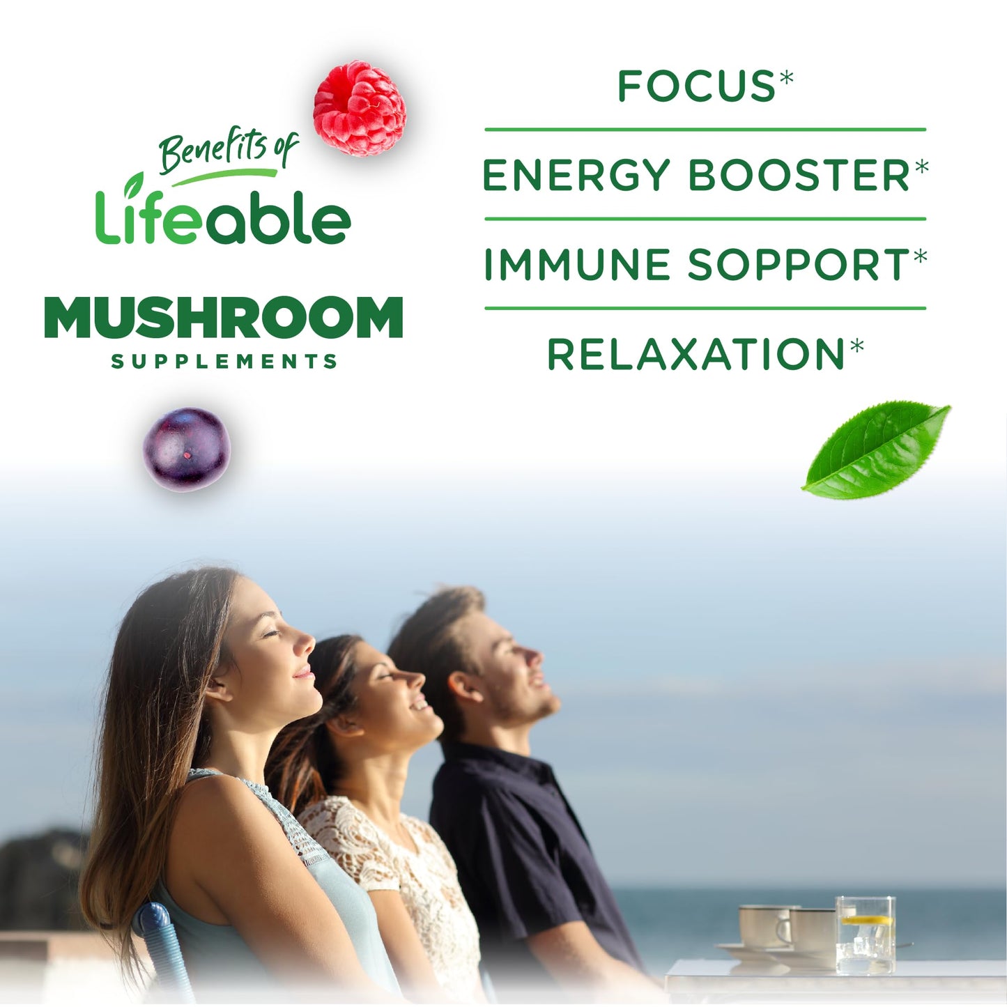 Lifeable Mushroom Gummies for Adults with Ashwagandha KSM-66, 90 Gummies