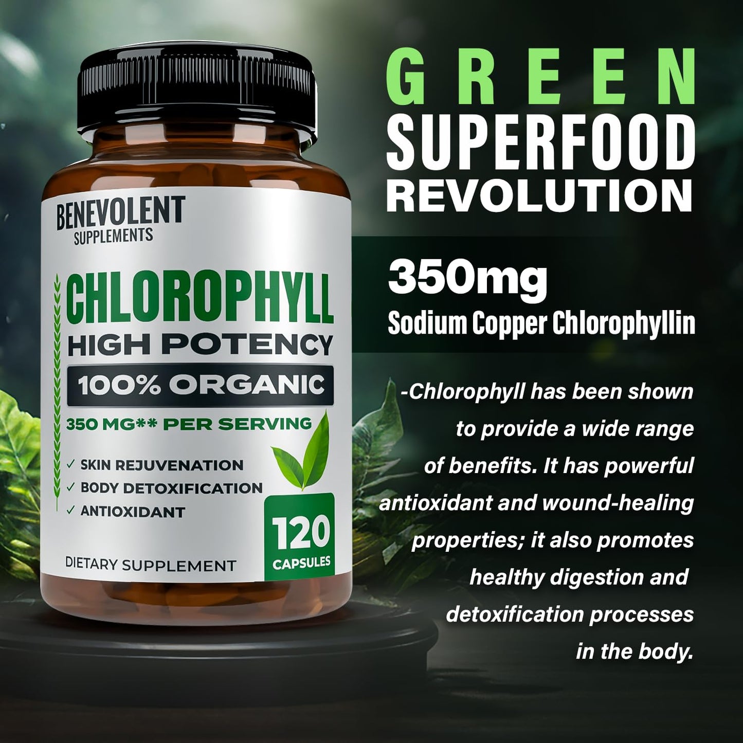 Benevolent Nourishment Chlorophyll Supplement 120 Capsules