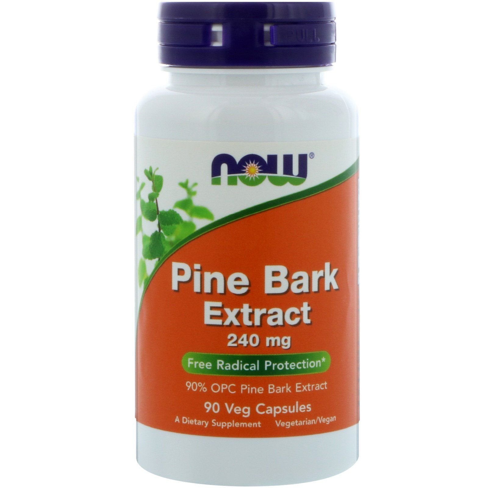 NOW Foods Pine Bark Extract 240 mg Capsule, 1 Count