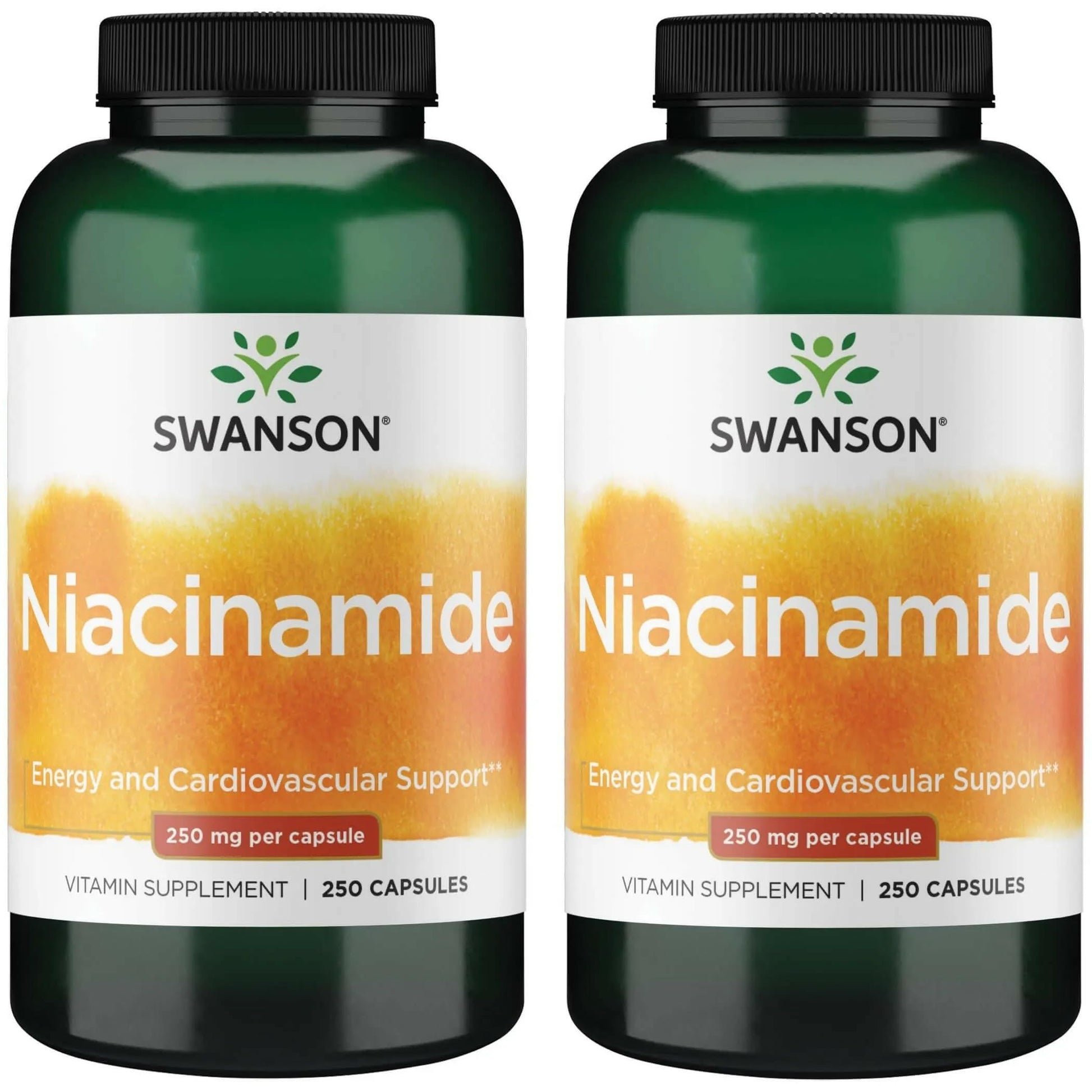 Swanson Niacinamide Vitamin B3 Supplement Capsules 500 Count