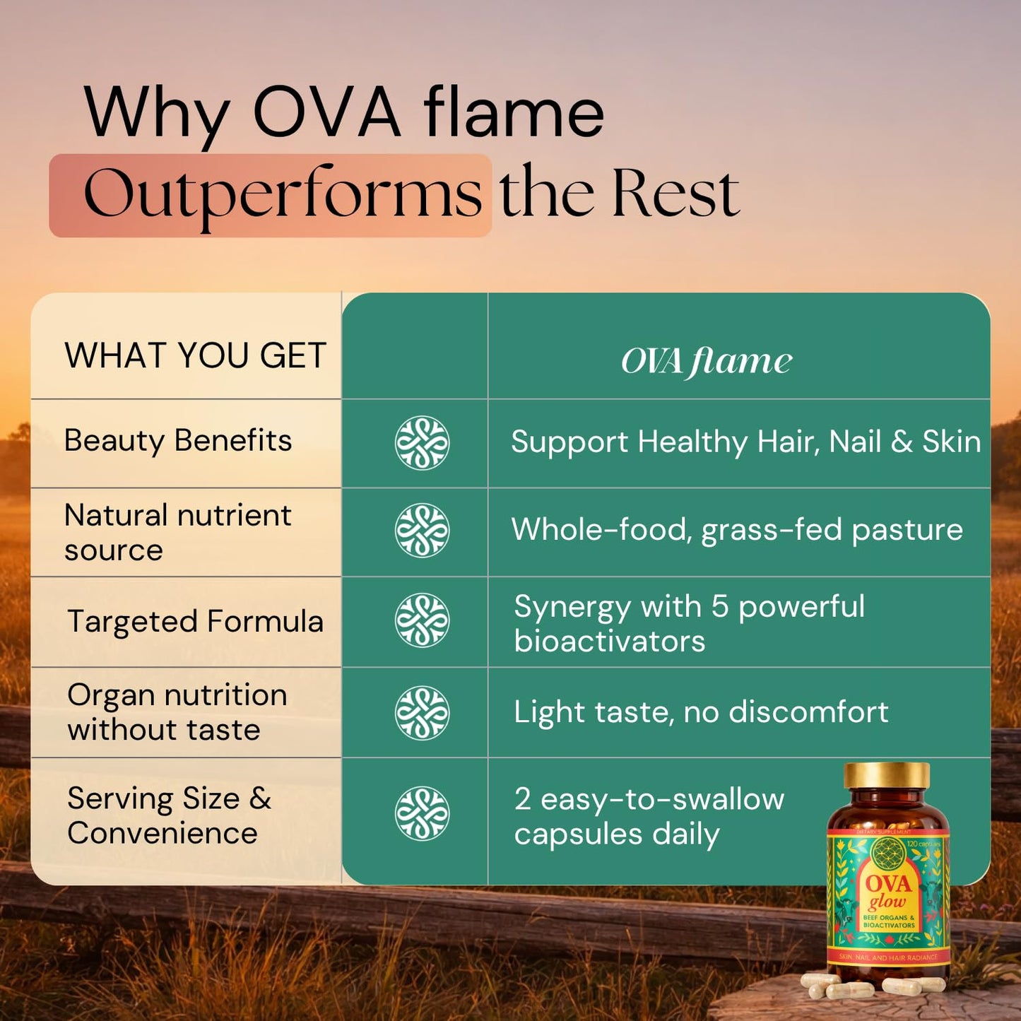 OVA flame Beef Organs for Women Collagen Blend Capsule 120 Count