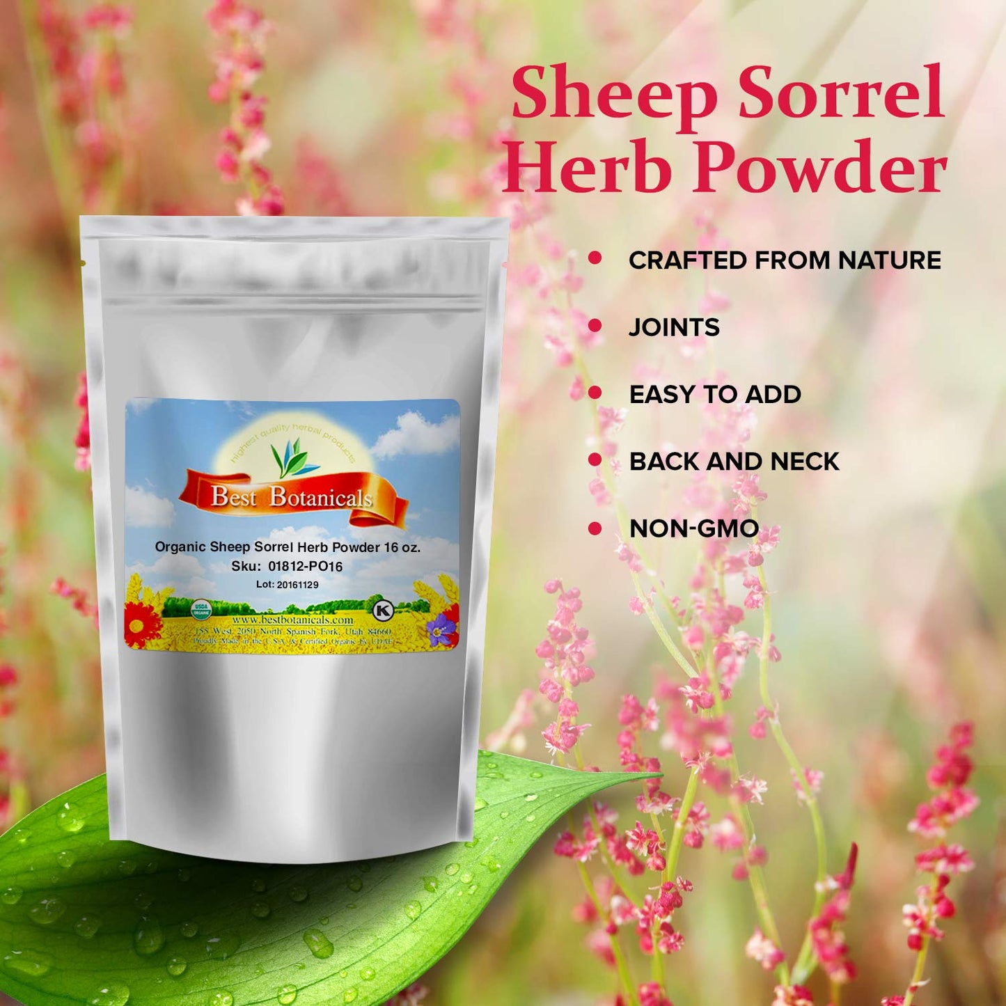 Best Botanicals Sheep Sorrel Capsules, 16 Capsules