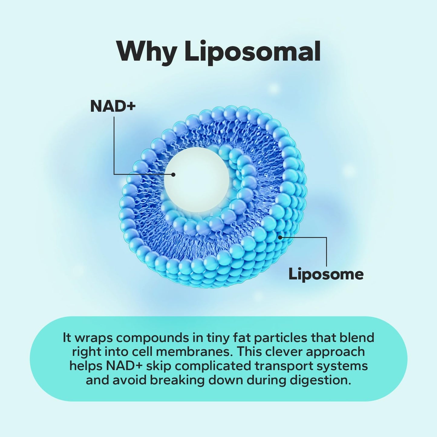 NaturaNex Liposomal NAD+ Supplement 650mg, Resveratrol & Quercetin Complex, 60 Capsules