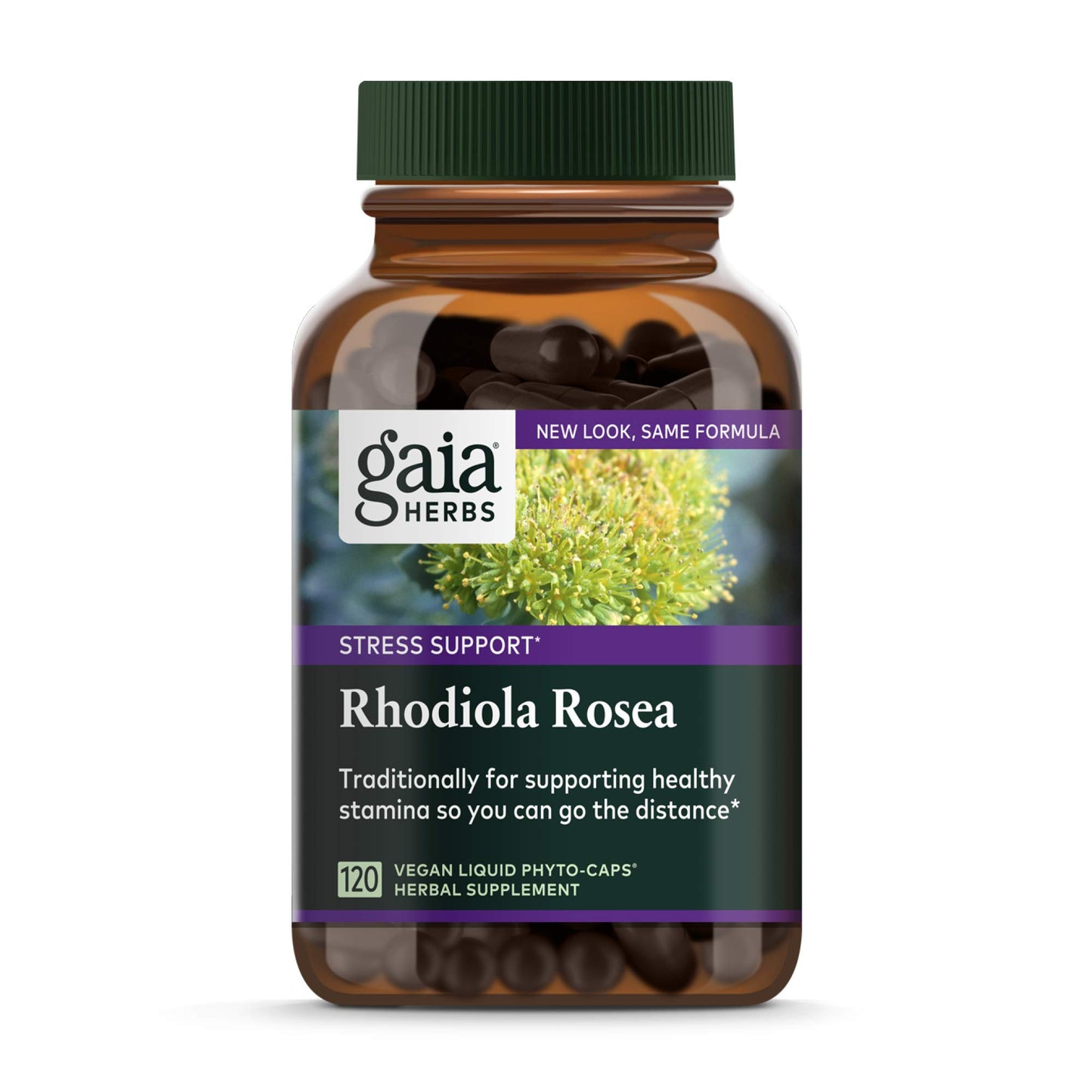 Gaia Herbs Rhodiola Rosea Vegan Liquid Phyto Capsules, 120 Count
