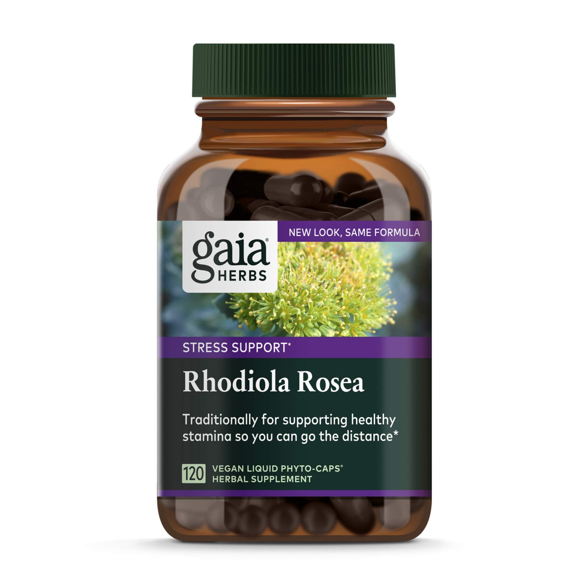 Gaia Herbs Rhodiola Rosea Vegan Liquid Phyto Capsules, 120 Count
