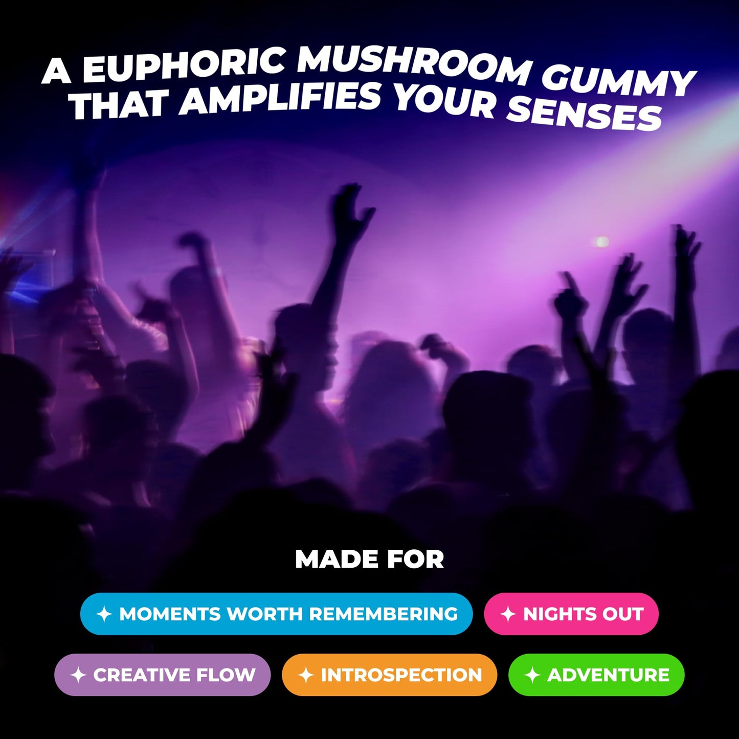 Shrumfuzed Mushroom Gummies Gummy 10 Count