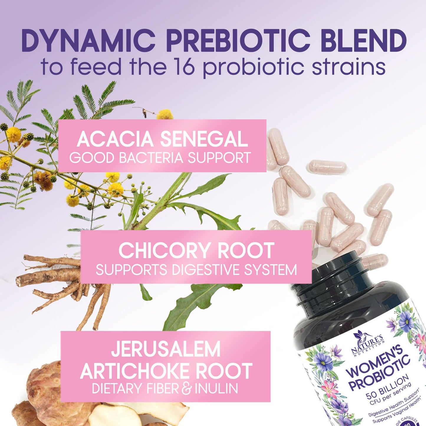 Nature's Nutrition Probiotics for Women - Probiotic Blend 50 Billion CFU, 16 Strains, 60 Capsules