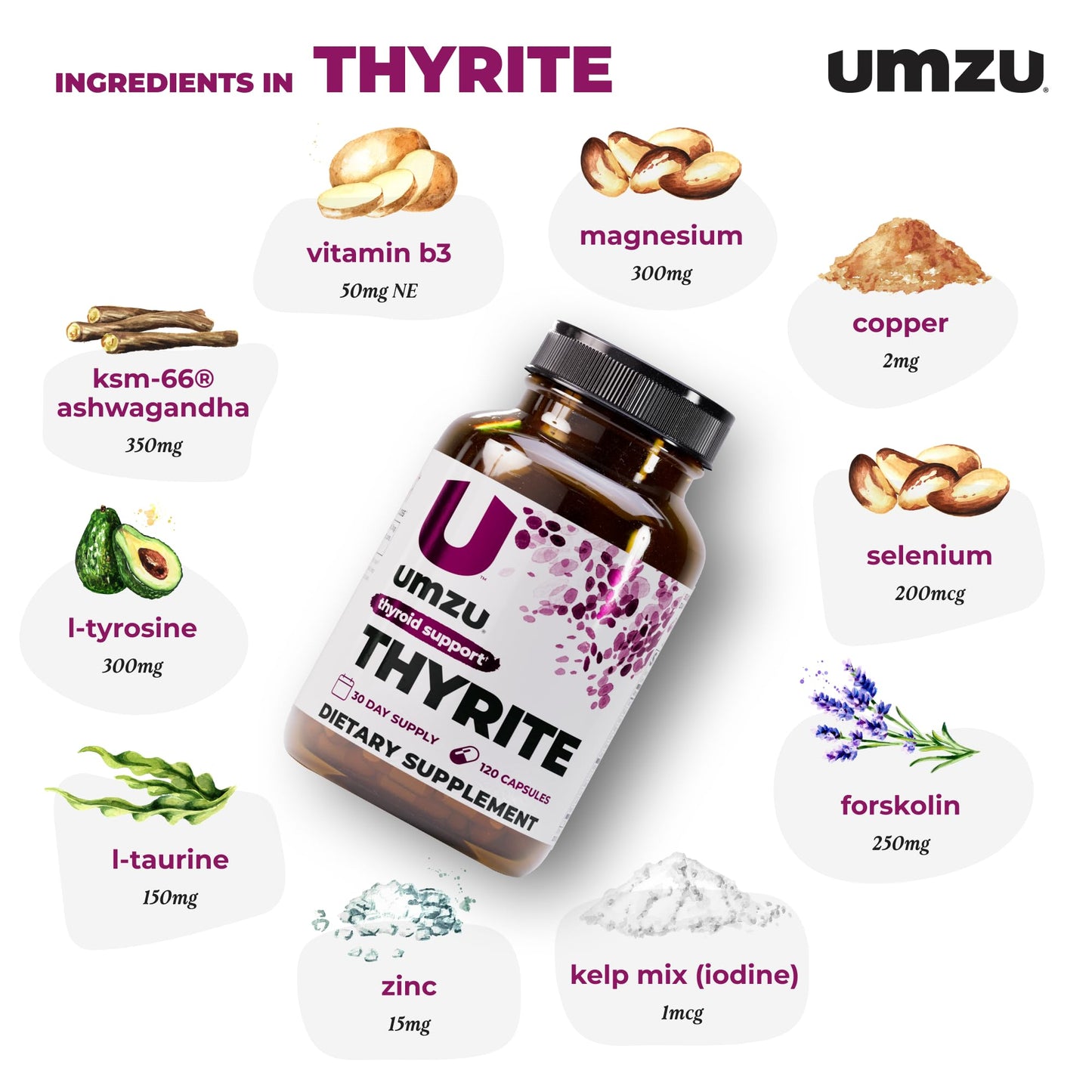 UMZU Thyrite Thyroid Support Supplement Capsule 120 Count