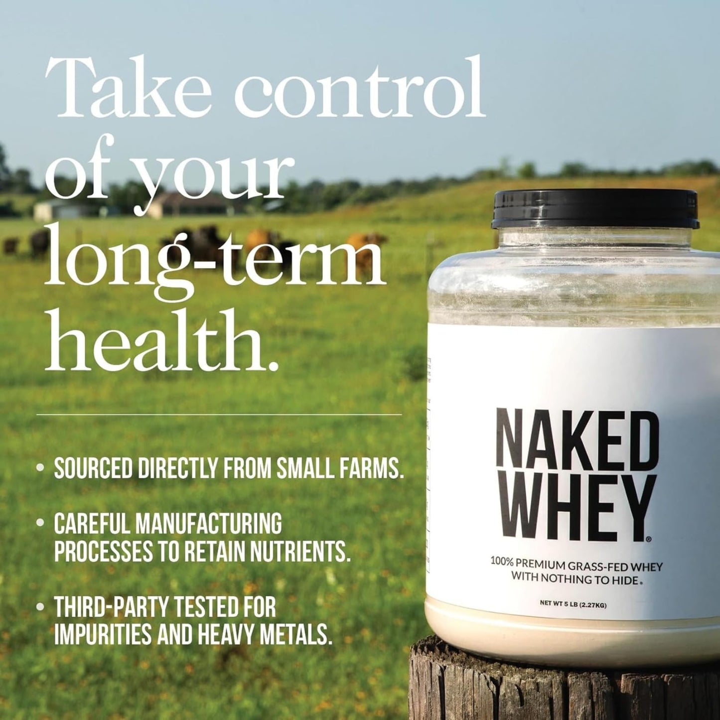NAKED Vanilla Whey Protein Powder, 16 oz