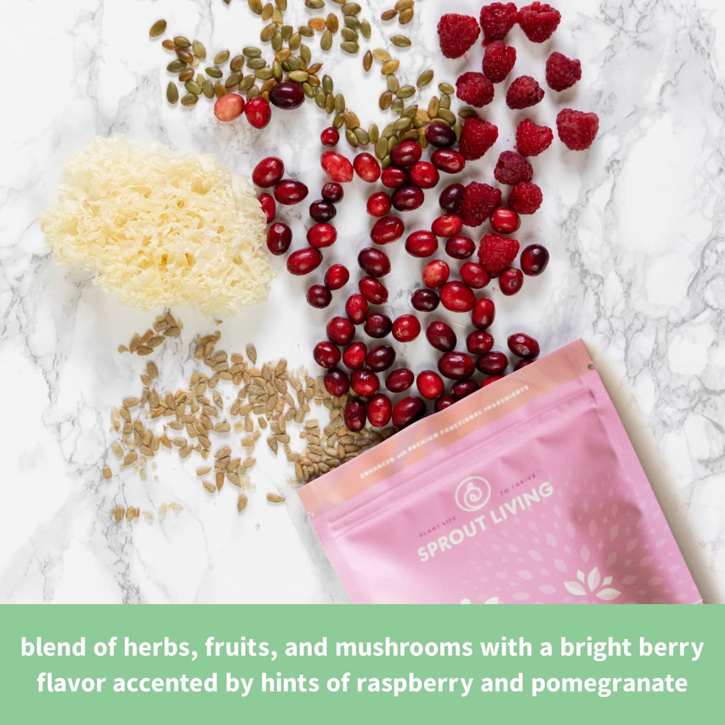 Sprout Living Epic Protein Plant Based Protein & Superfoods Powder Pro Collagen Berry 12.8 Ounce