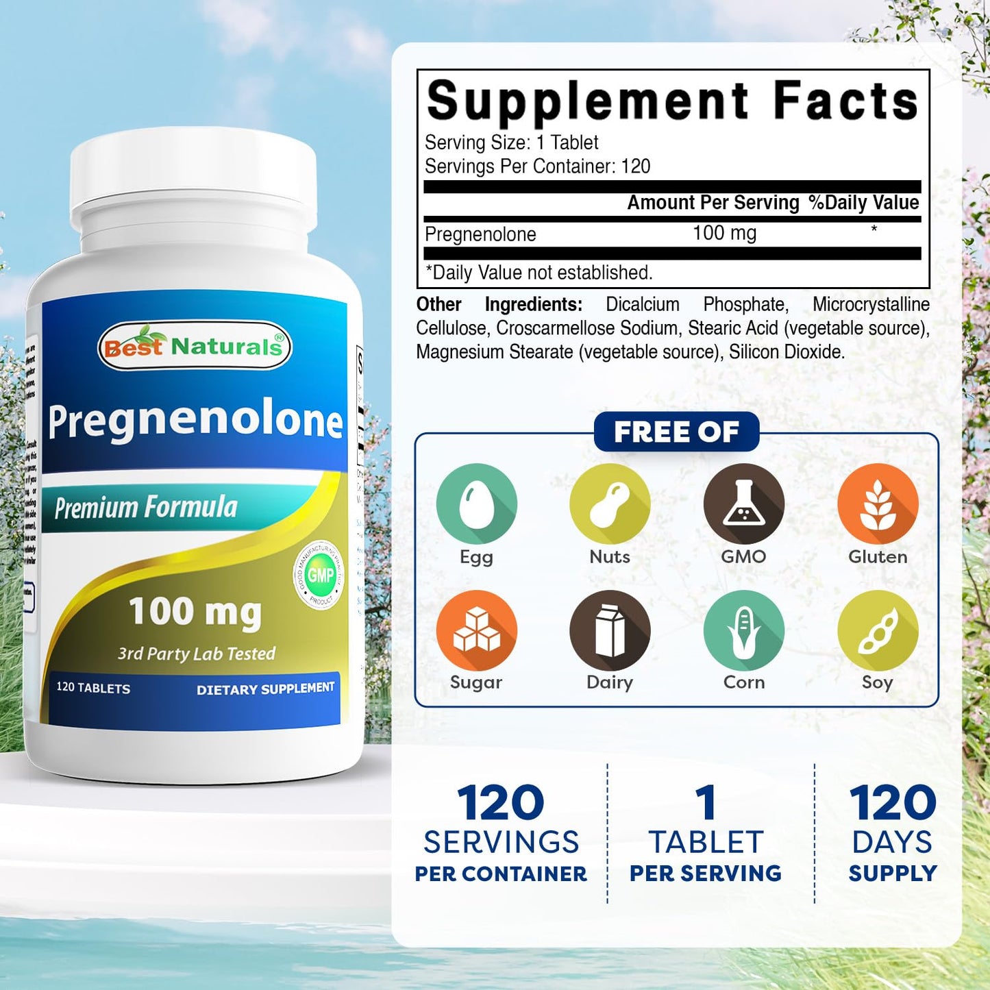 Best Naturals Pregnenolone 100 mg Tablet, 120 Tablets