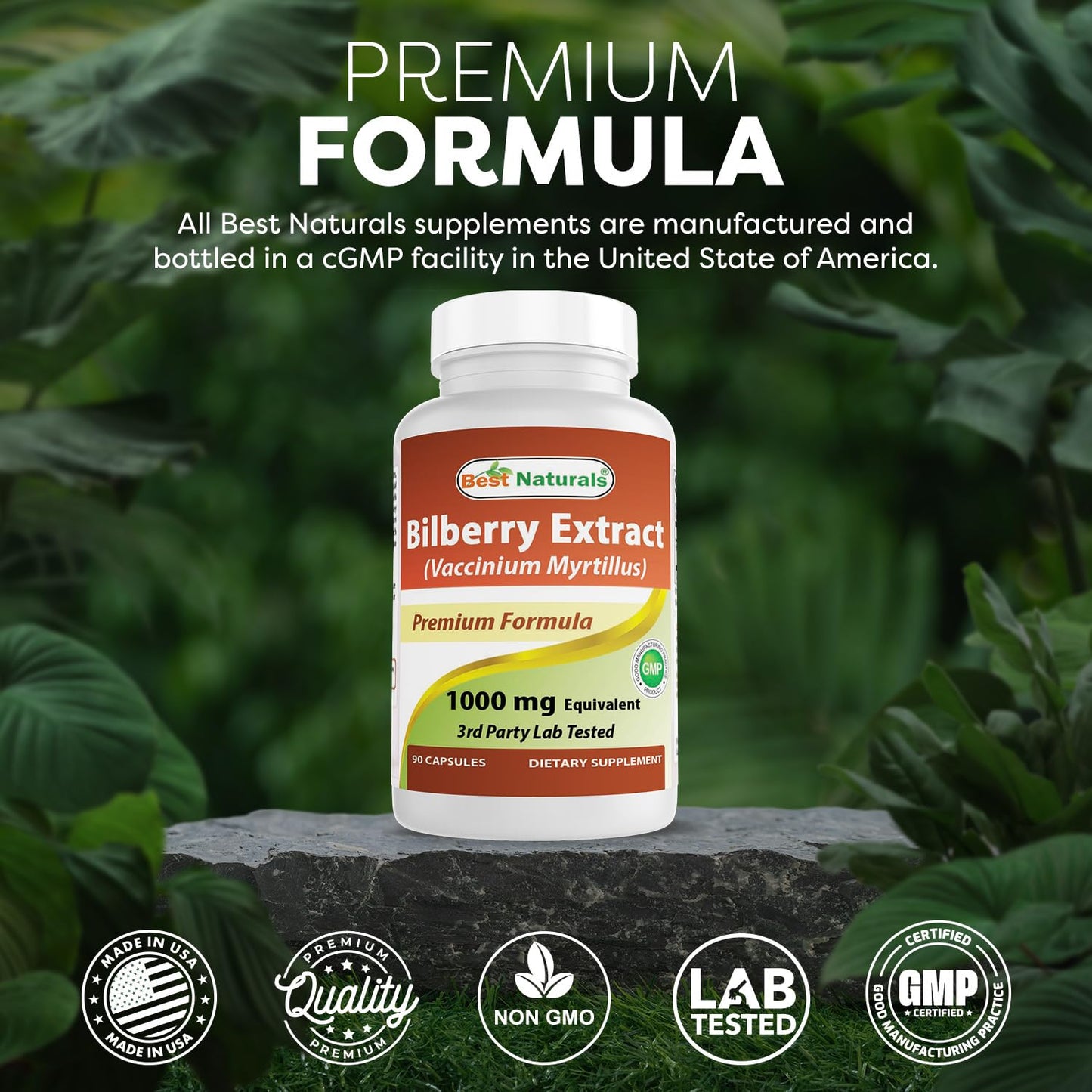 Best Naturals Bilberry Extract 1000mg Capsule, 90 Count