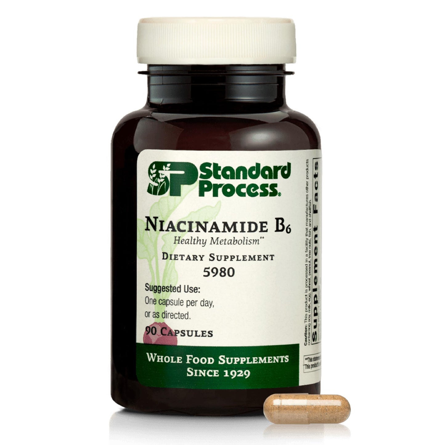 Standard Process Inc. Niacinamide B6 Capsules 90