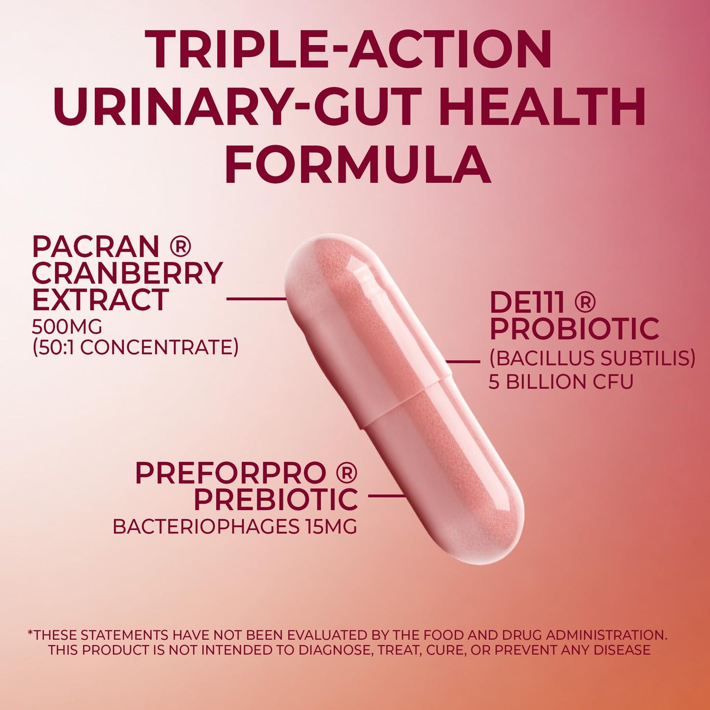 Prebiolume Cranberry Pills for Women Urinary Tract & Digestion Supplement Pacran® Cranberry Extract 500mg with DE111® Probiotics & PreforPro® Prebiotics Blend Capsule 30 Count