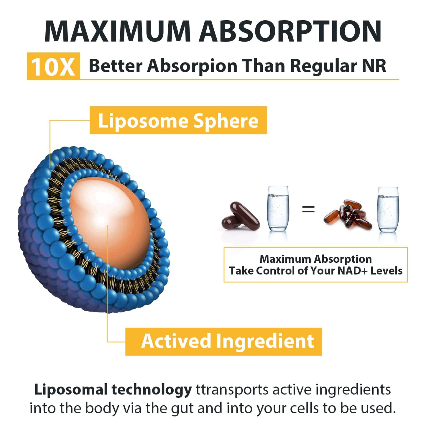 Orgabay Liposomal Nicotinamide Riboside 2000 mg with TMG and Pterostilbene Softgel, 60 Count