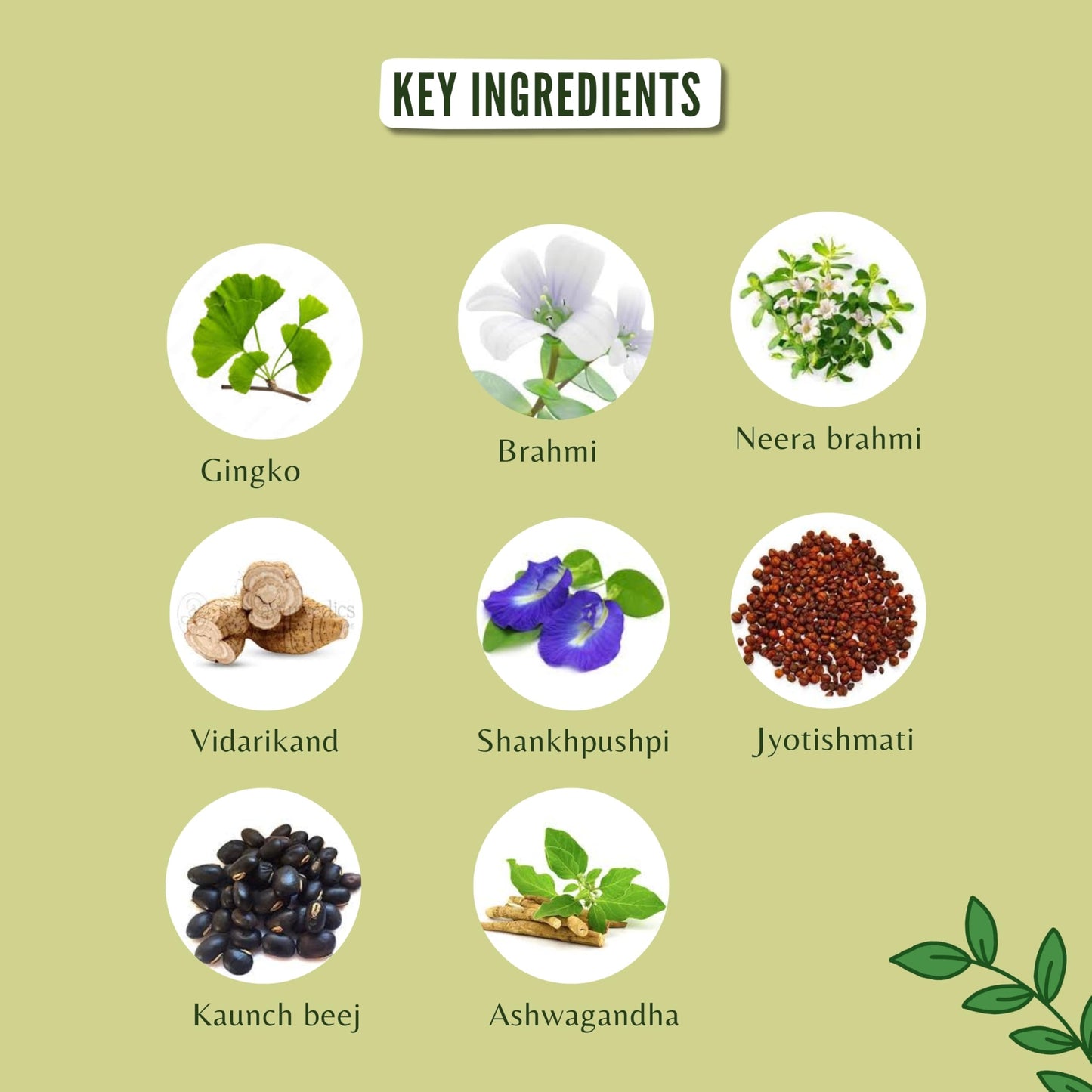AYURVEDASHREE Medho Vatika Caplets 60