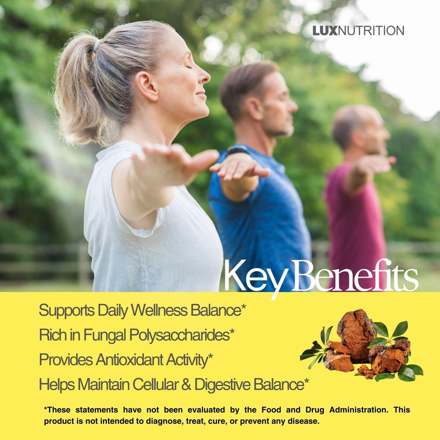 LUXNUTRITION Chaga Mushroom Extract Capsules, 60 Count