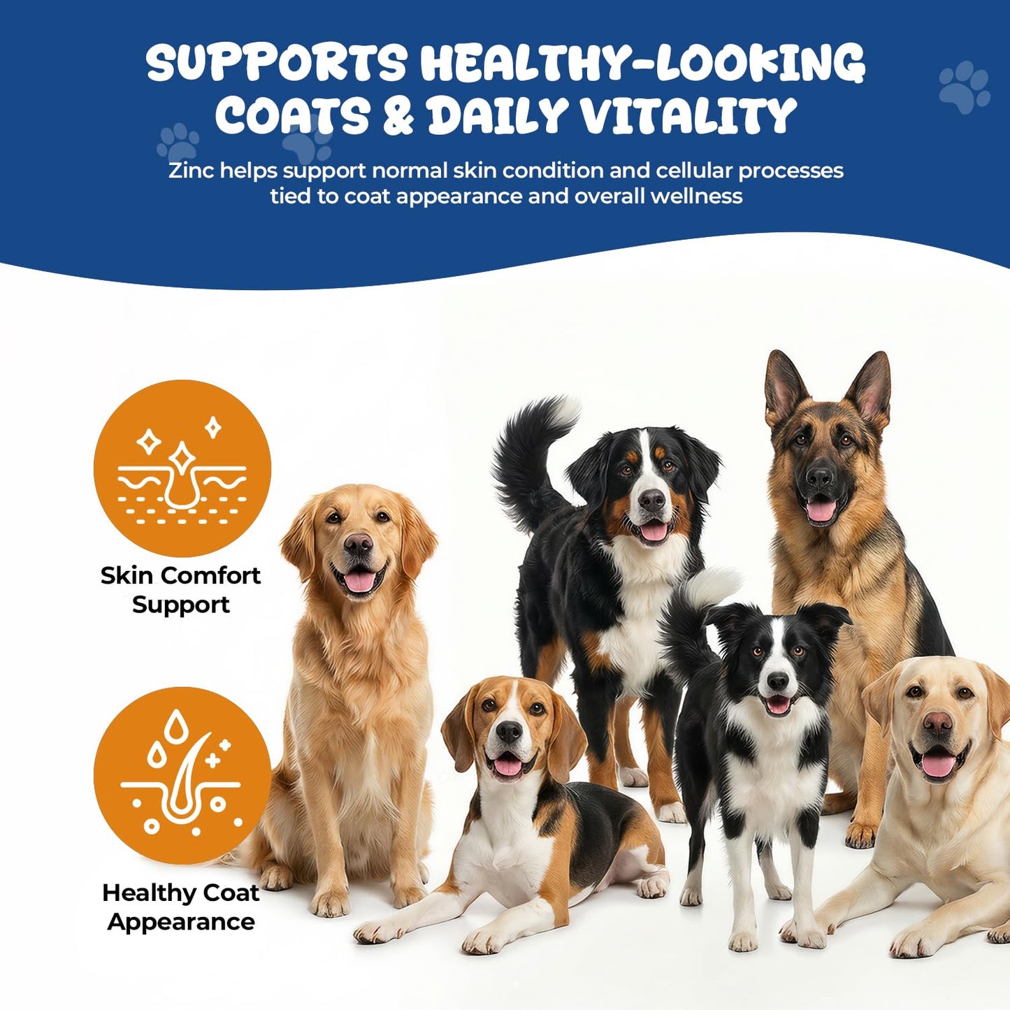 BrightBarki Zinc Supplement for Dogs Powder 1