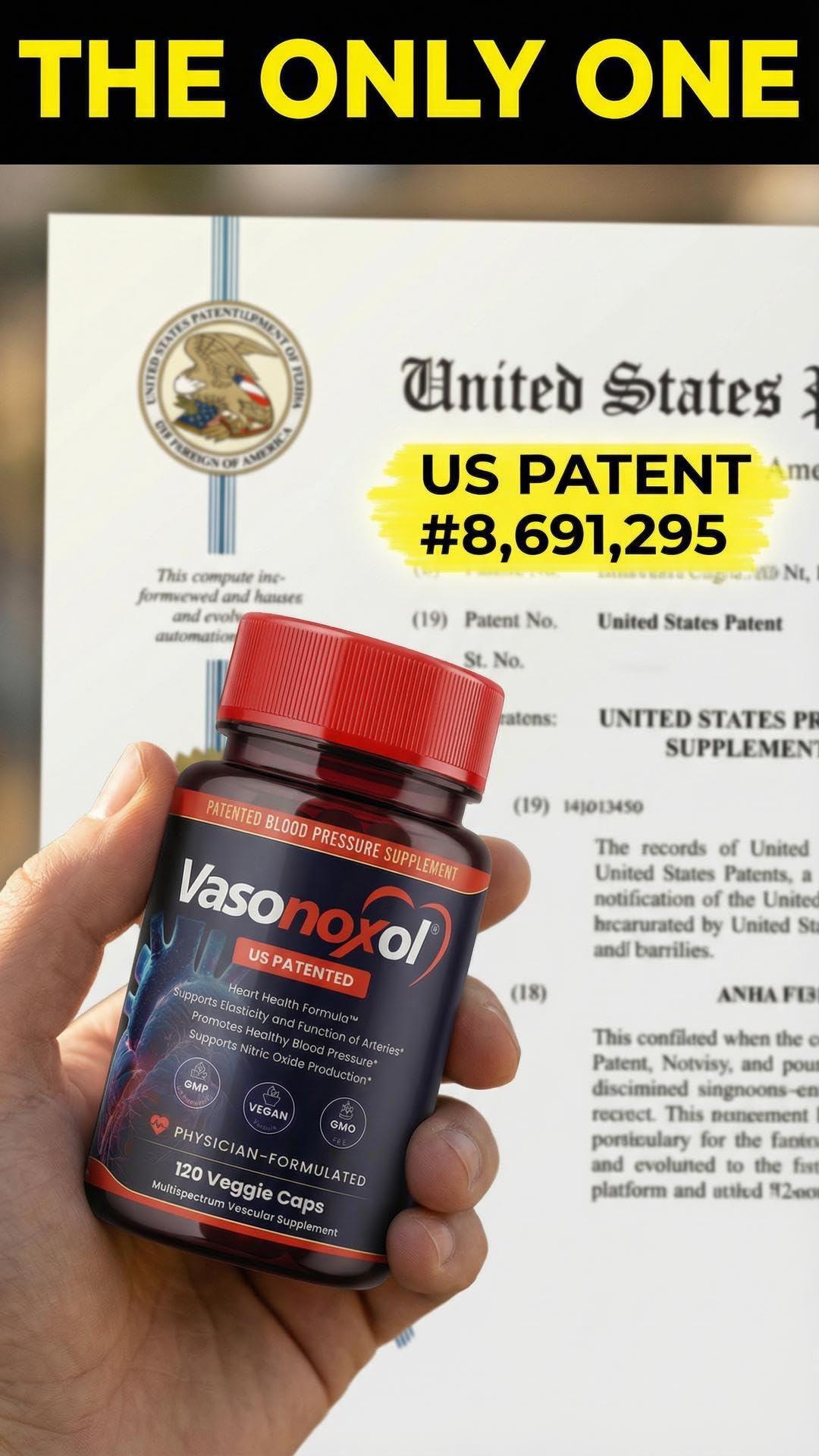 Panoxol Vasonoxol U.S. Patented Nitric Oxide Supplement for Blood Pressure Support Capsules, 120 Count